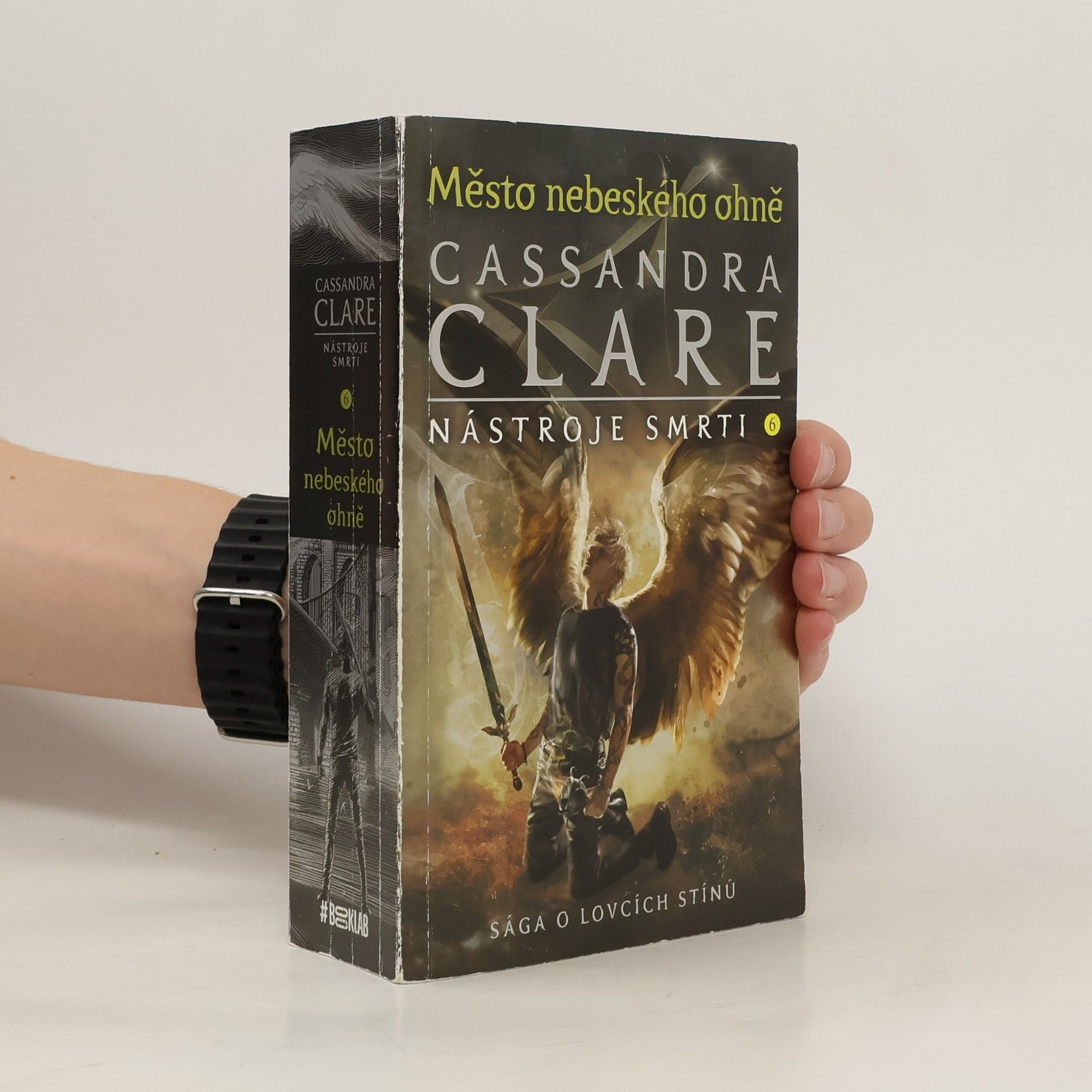 Cassandra Clare Město nebeského ohně