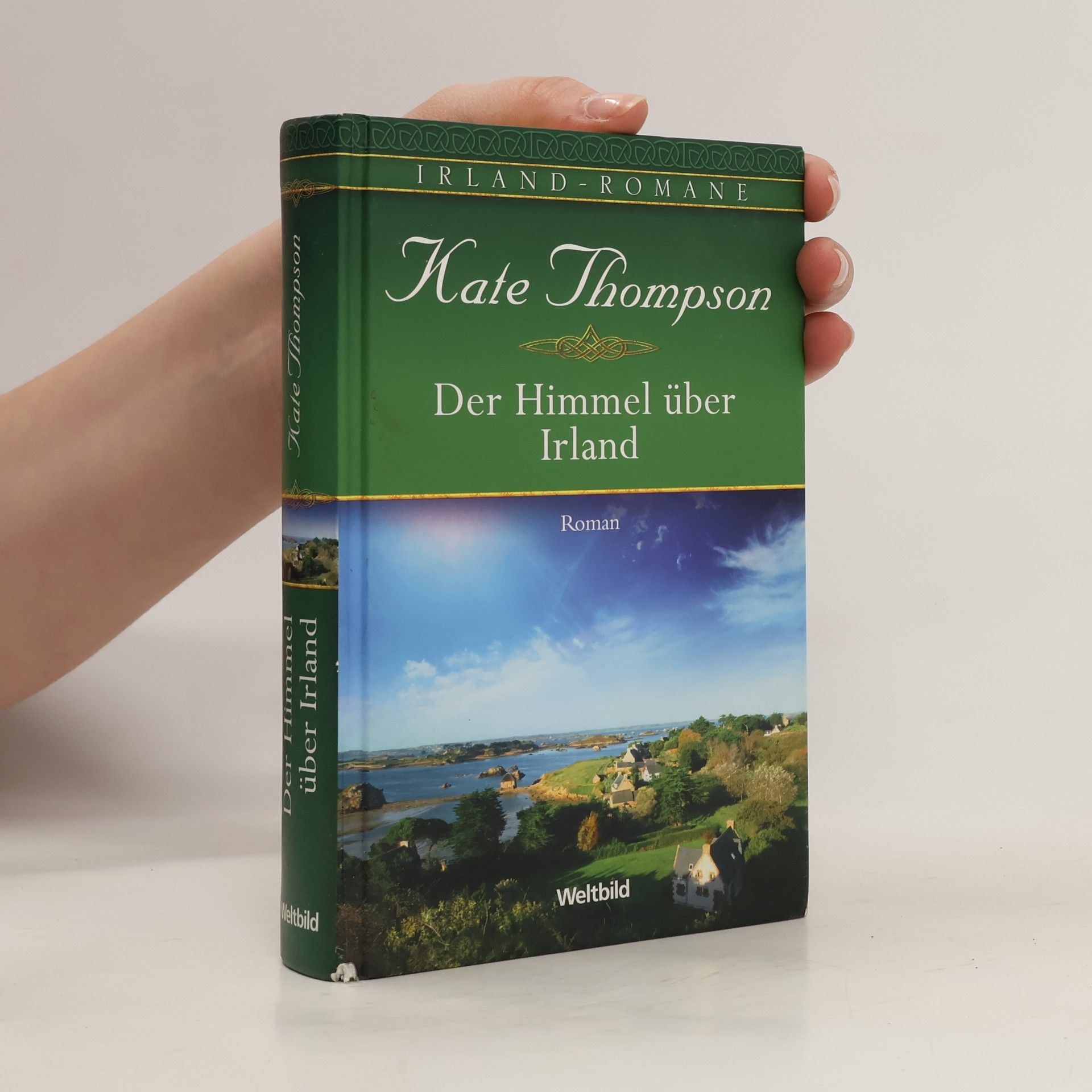 Kate Thompson Der Himmel über Irland