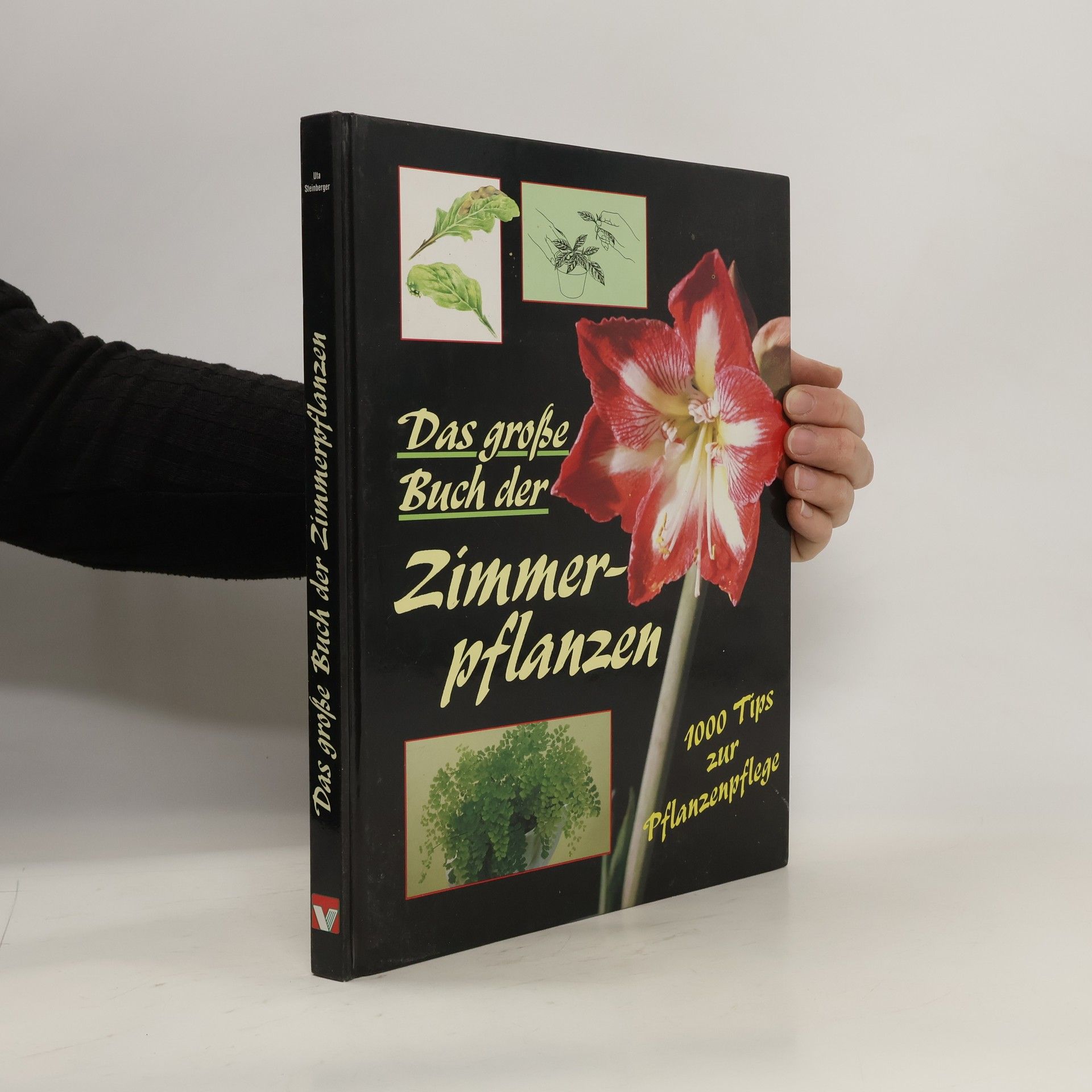 Uta Steinberger Das große Buch der Zimmerpflanzen