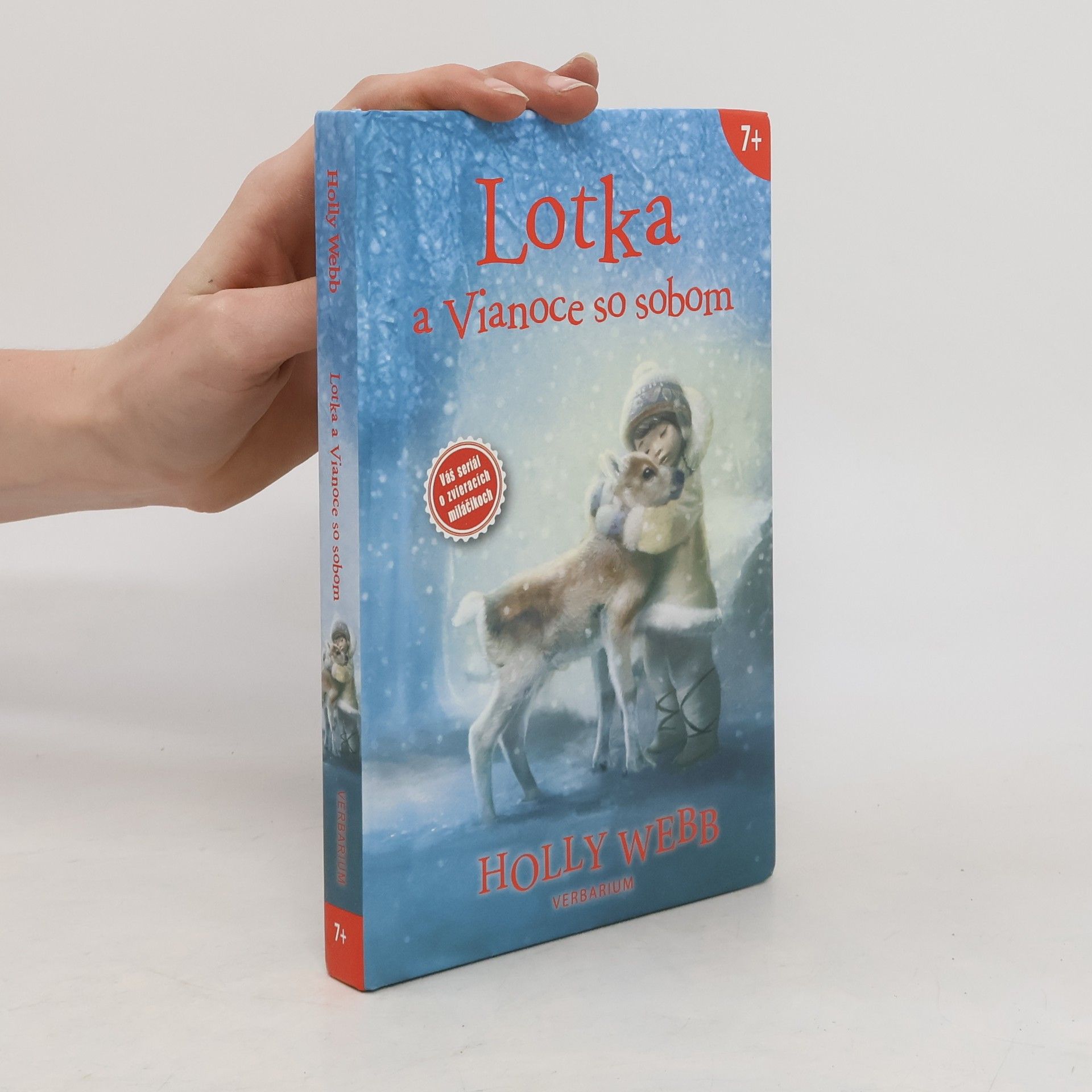 Holly Webb Lotka a Vianoce so sobom