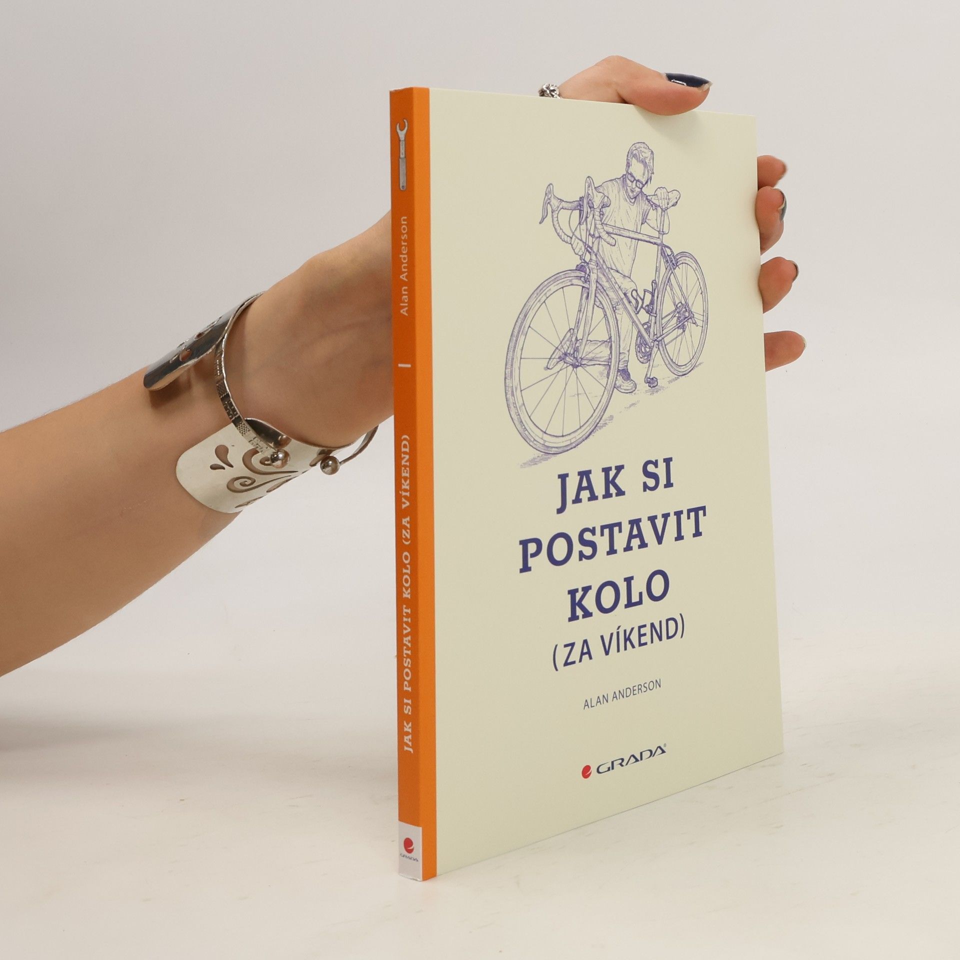 Alan Anderson Jak si postavit kolo (za víkend)