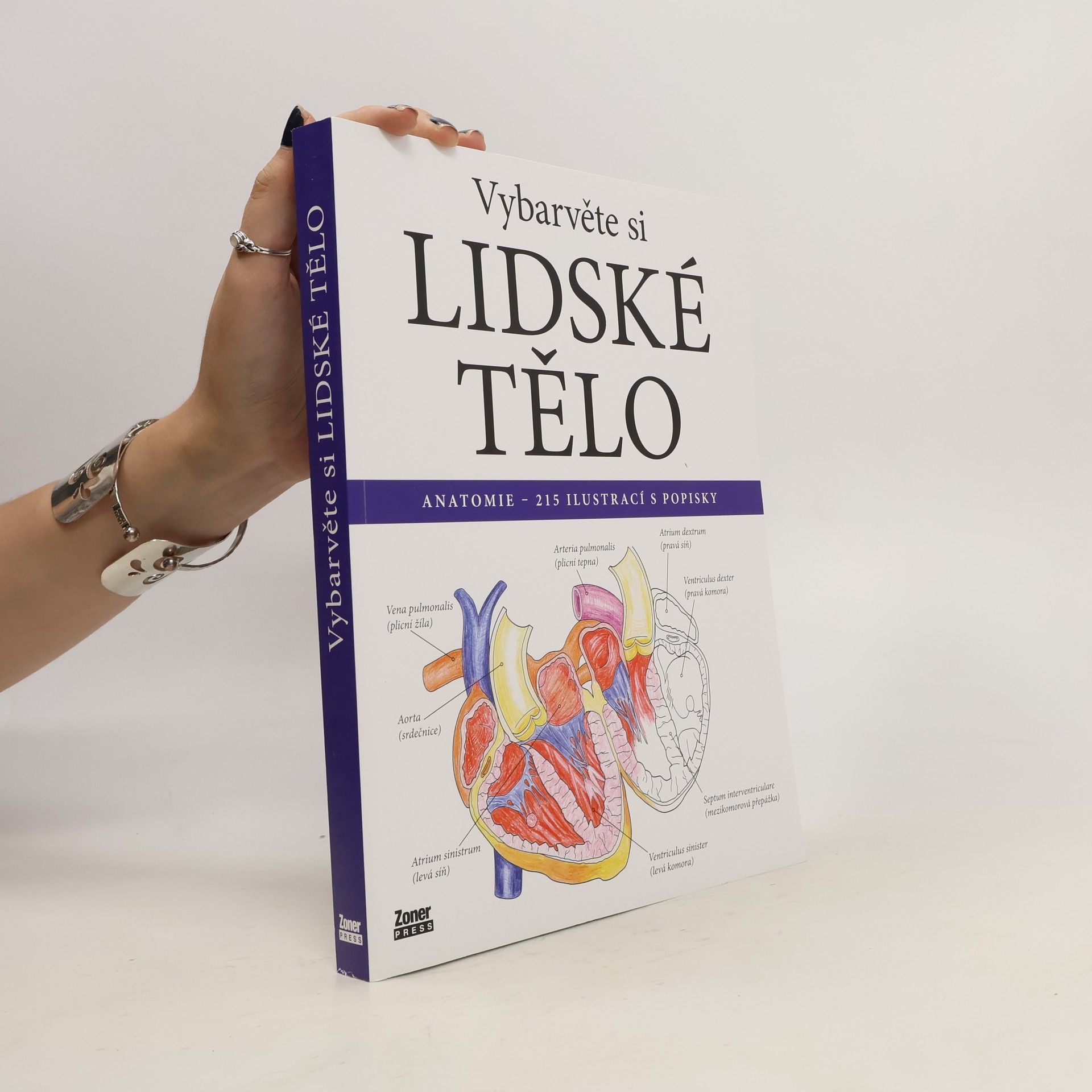 Evelína Kovácsová Vybarvěte si lidské tělo : anatomie - 215 ilustrací s popisky