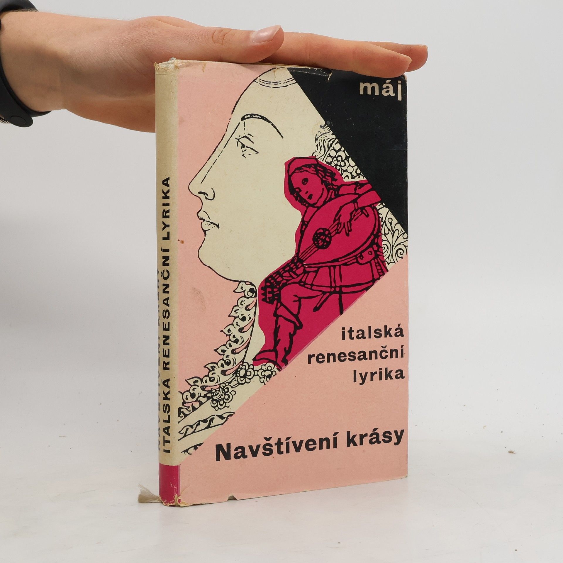 Jan Vladislav Navštívení krásy. Italská renesanční lyrika
