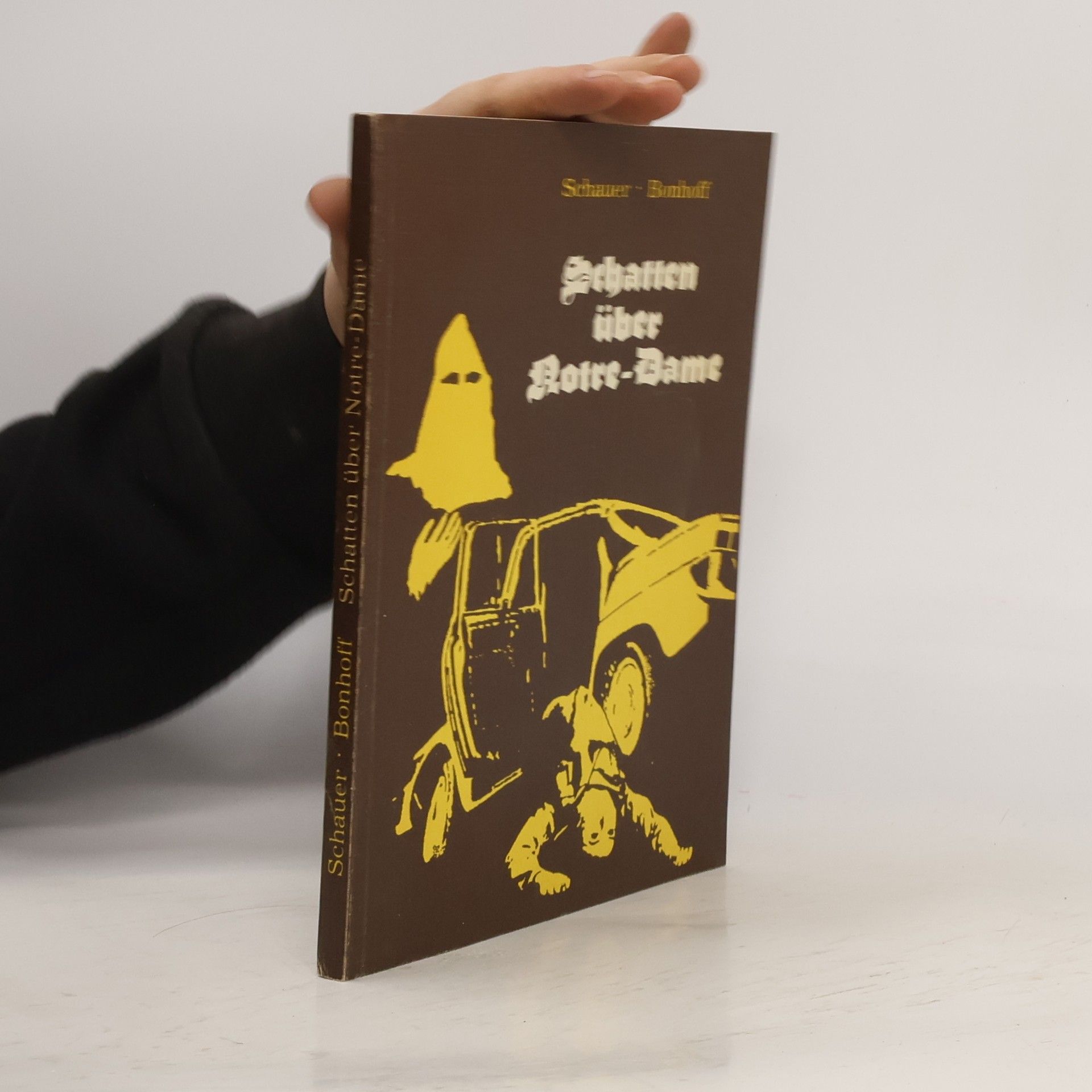 Herbert Schauer Schatten über Notre-Dame