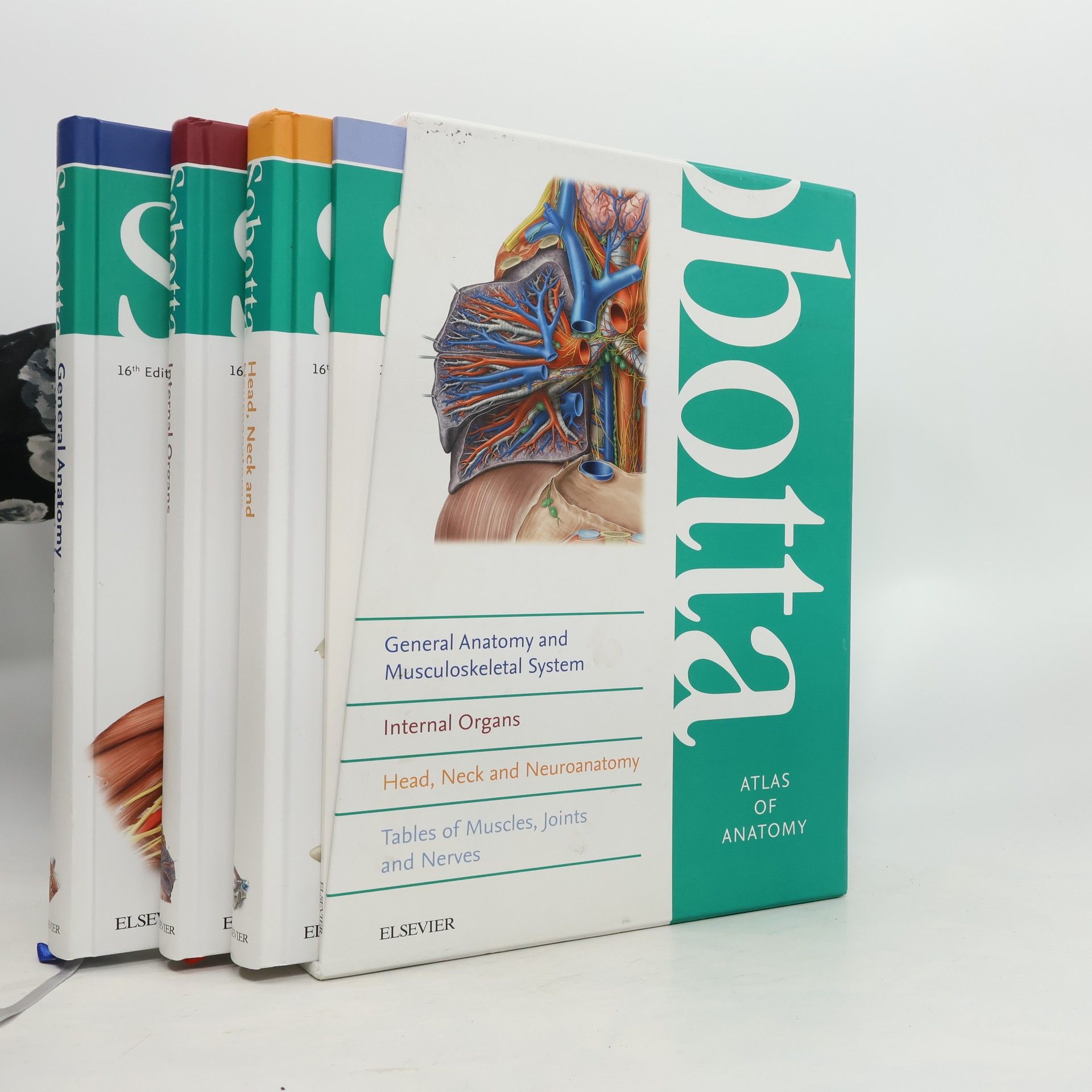 Friedrich Paulsen Sobotta Tables of Muscles, Joints and Nerves, English/Latin
