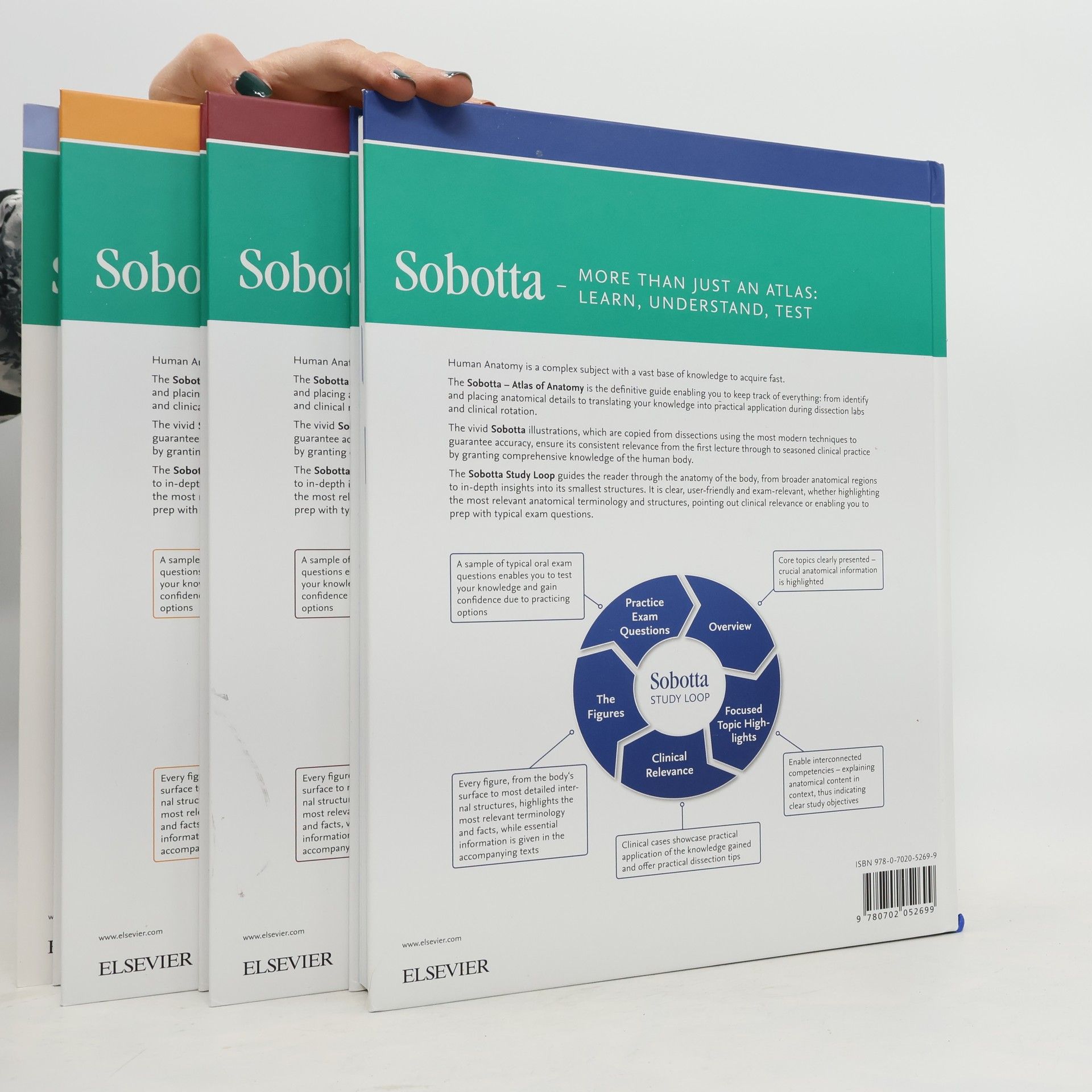 Friedrich Paulsen Sobotta Tables of Muscles, Joints and Nerves, English/Latin