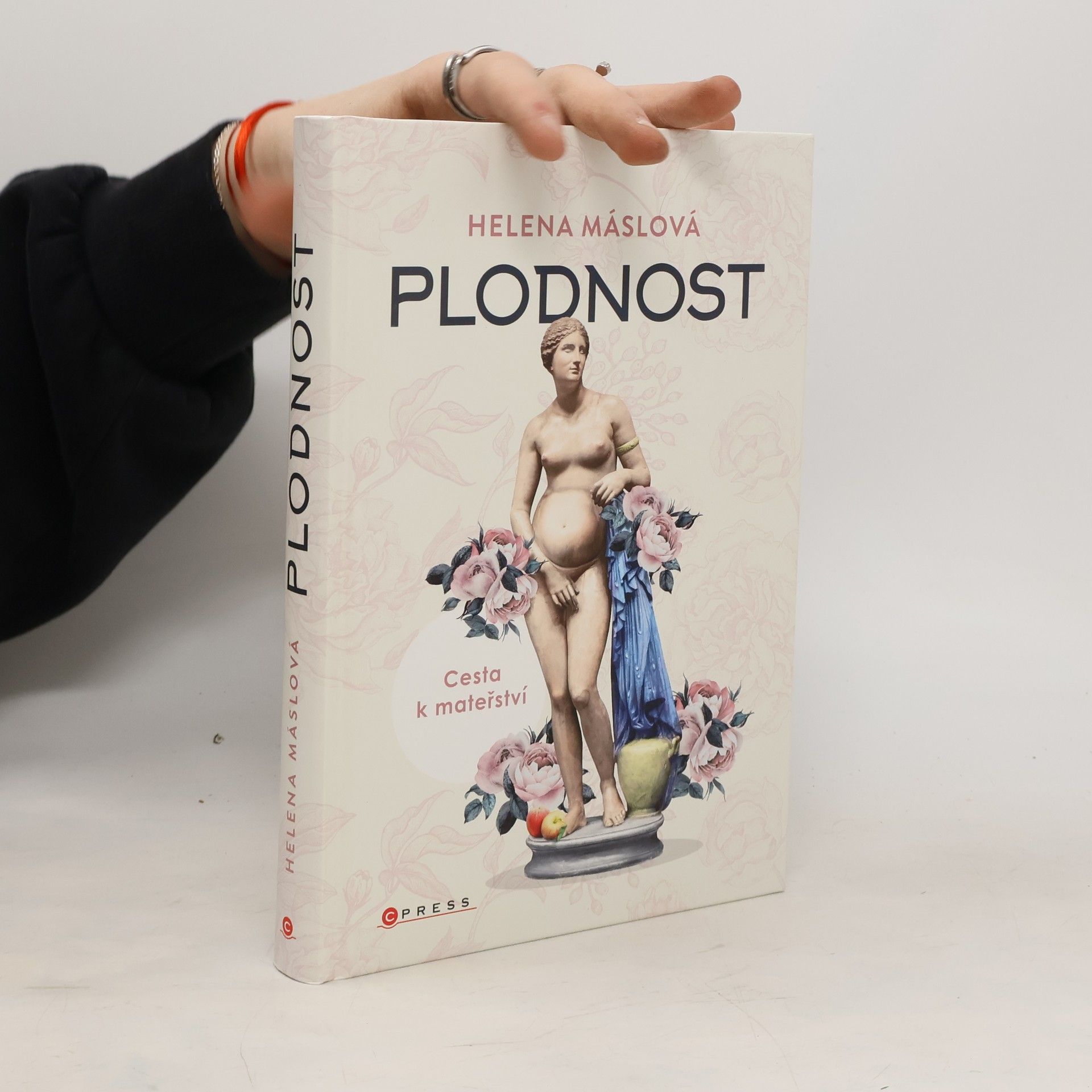 Helena Máslová Plodnost : cesta k mateřství