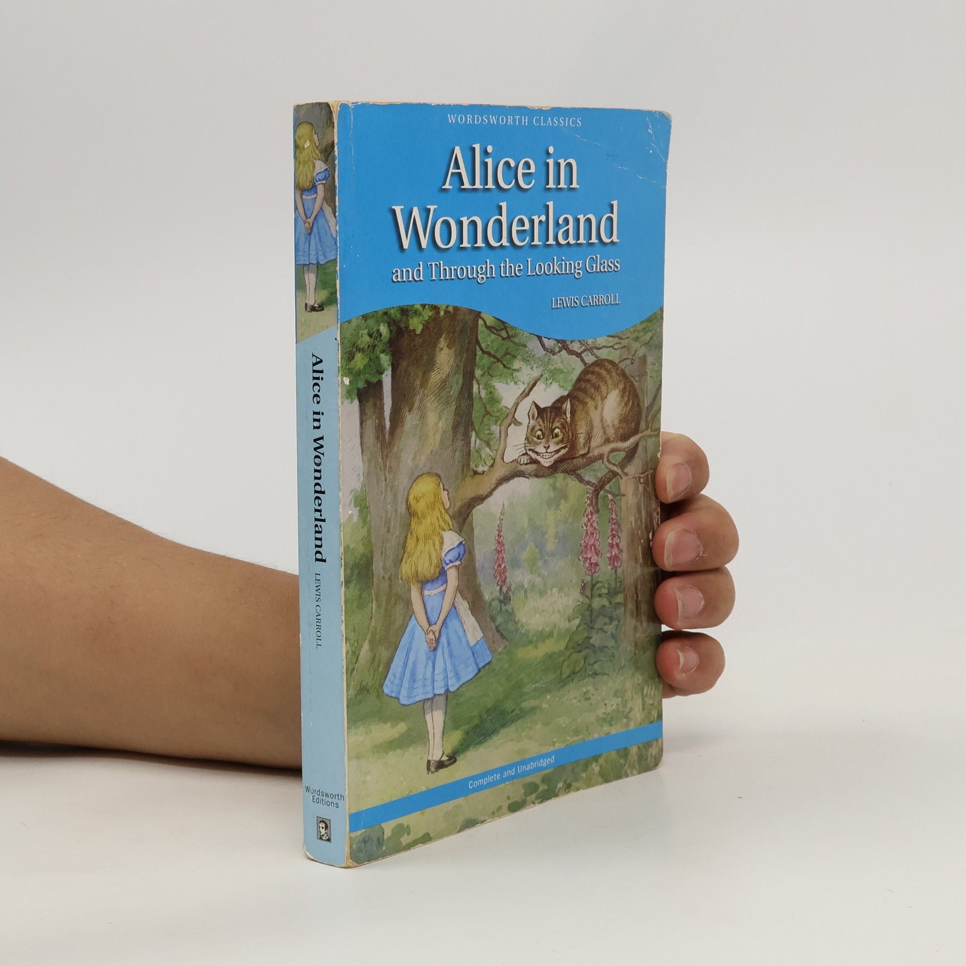 Lewis Carroll Alice in Wonderland and Through the Looking Glass