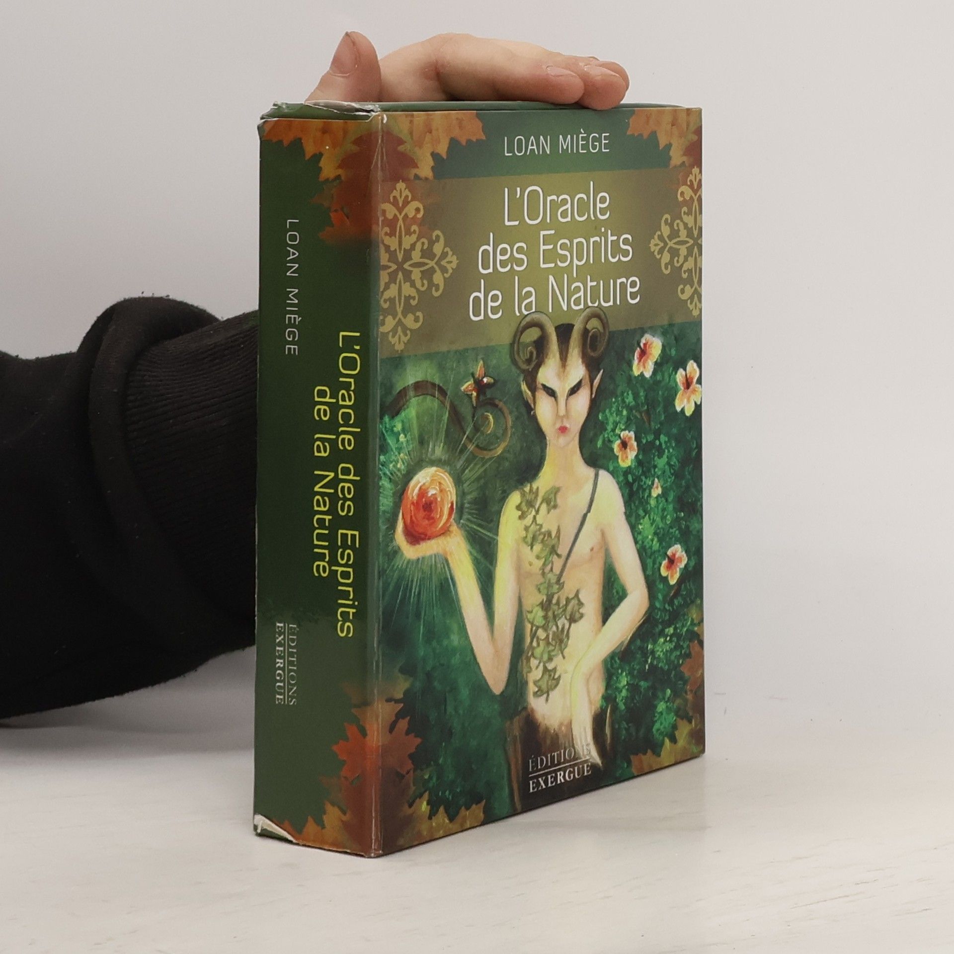 Loan Miège L'oracle des esprits de la nature
