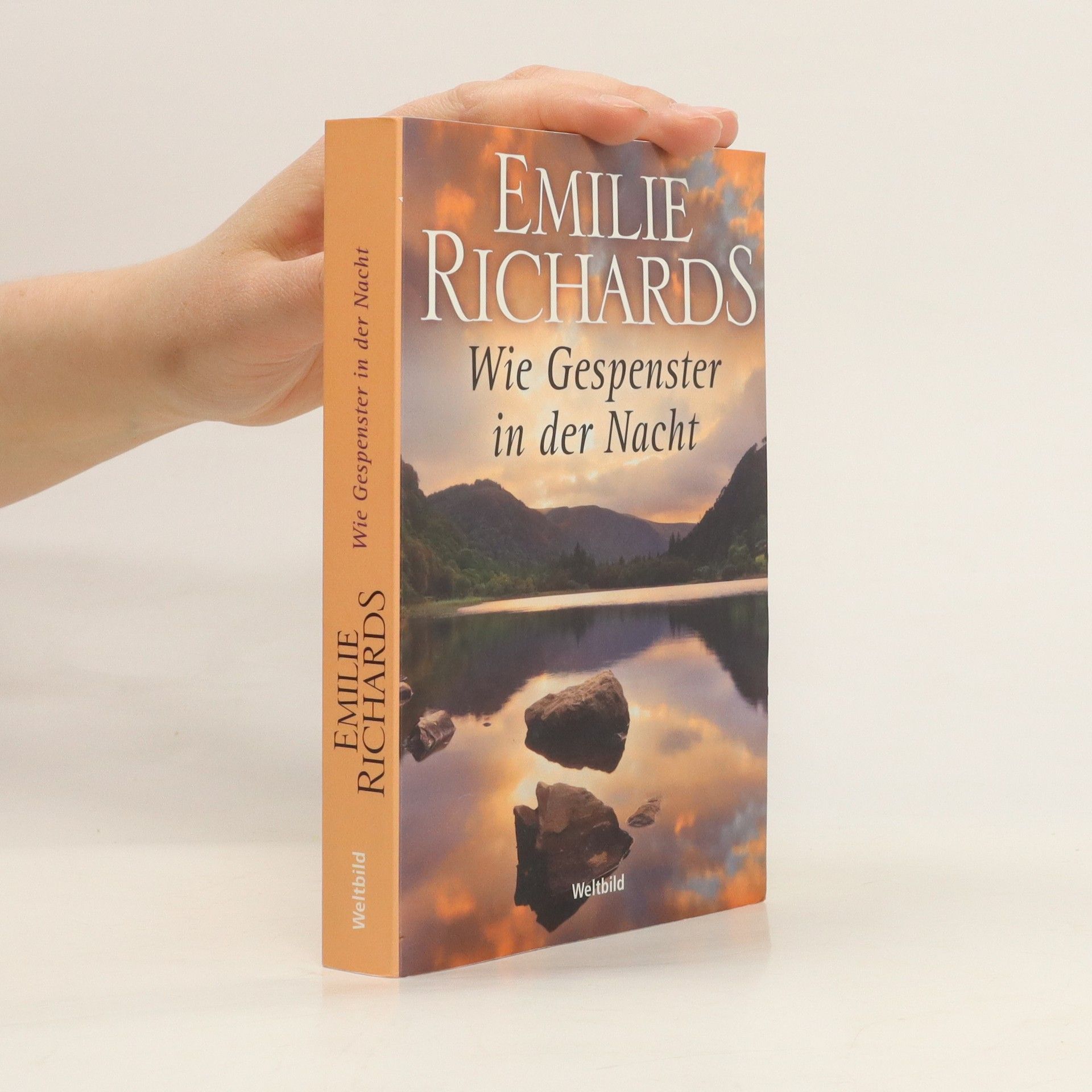 Emilie Richards McGee Wie Gespenster in der Nacht