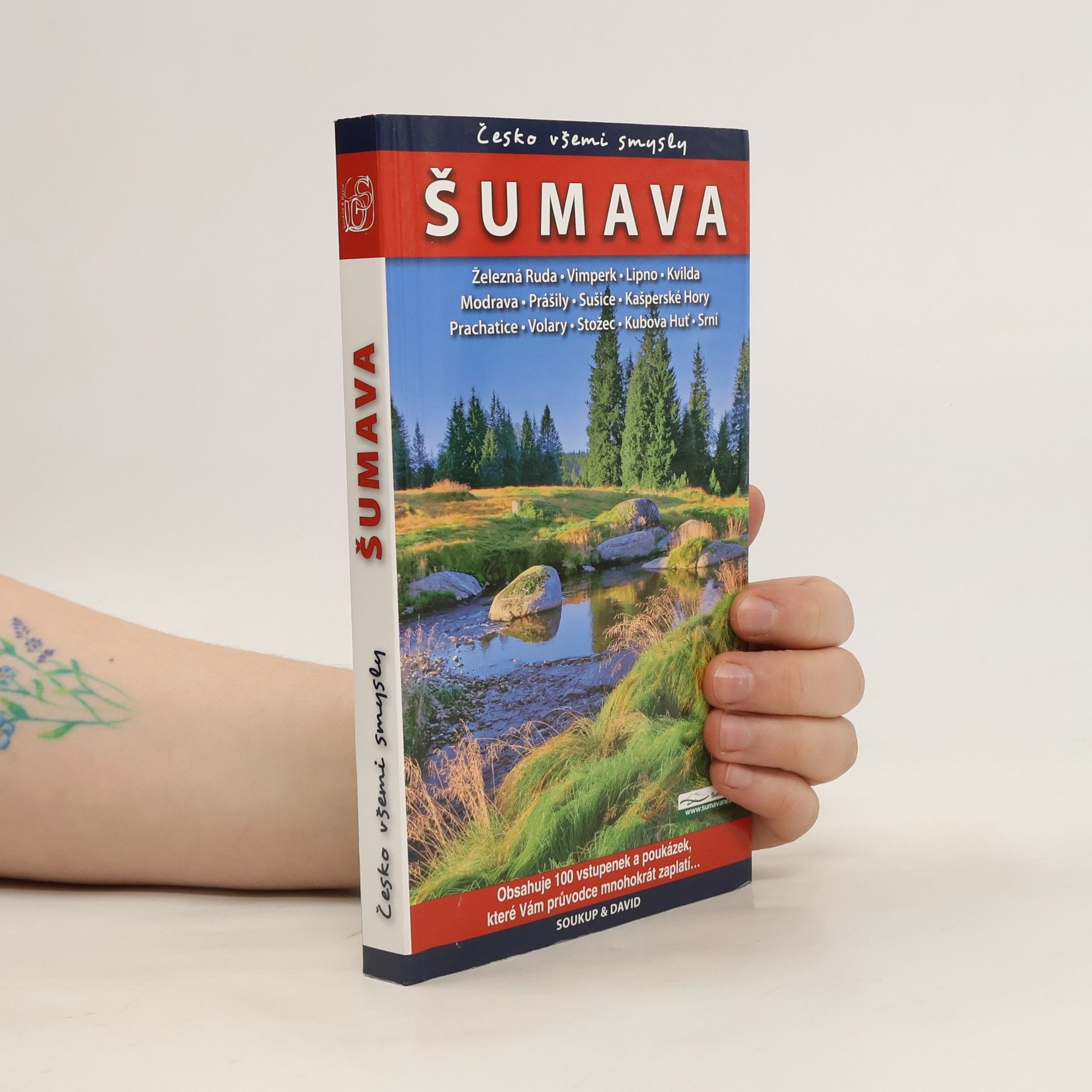 Peter David Česko všemi smysly - Šumava