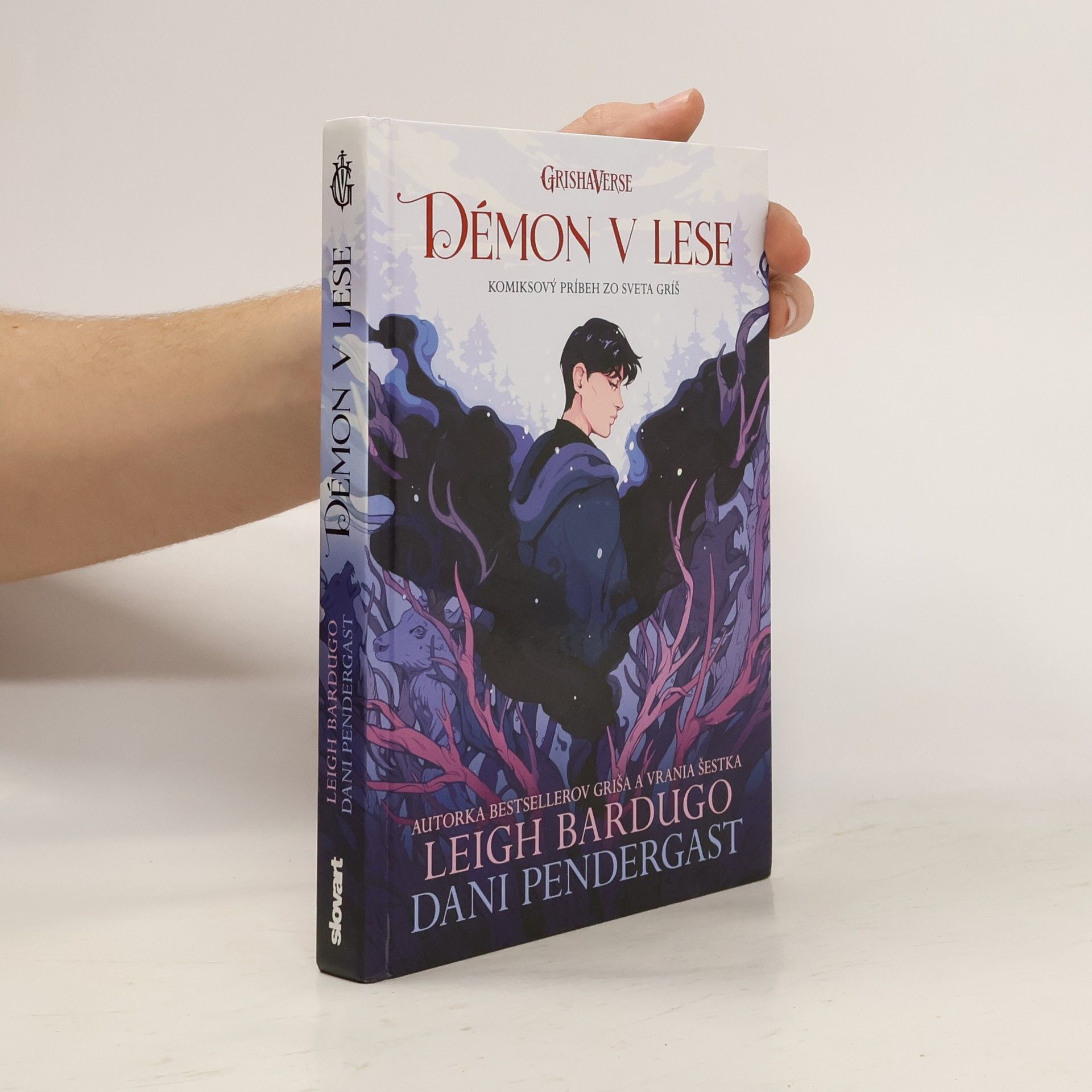 Leigh Bardugo Démon v lese