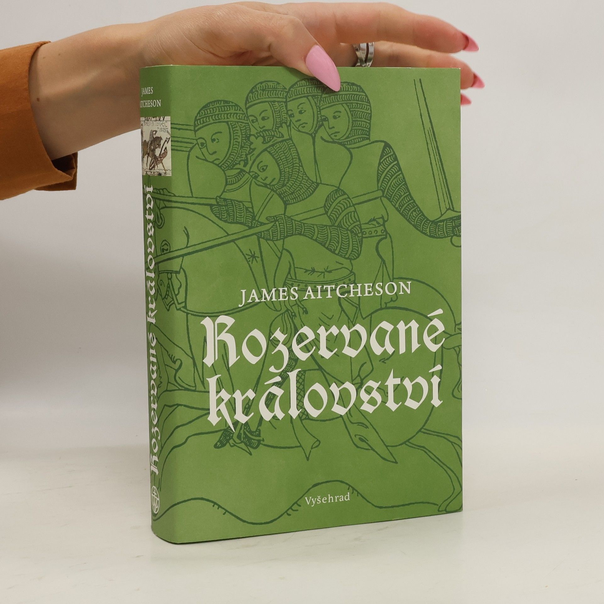 James Aitcheson Rozervané království