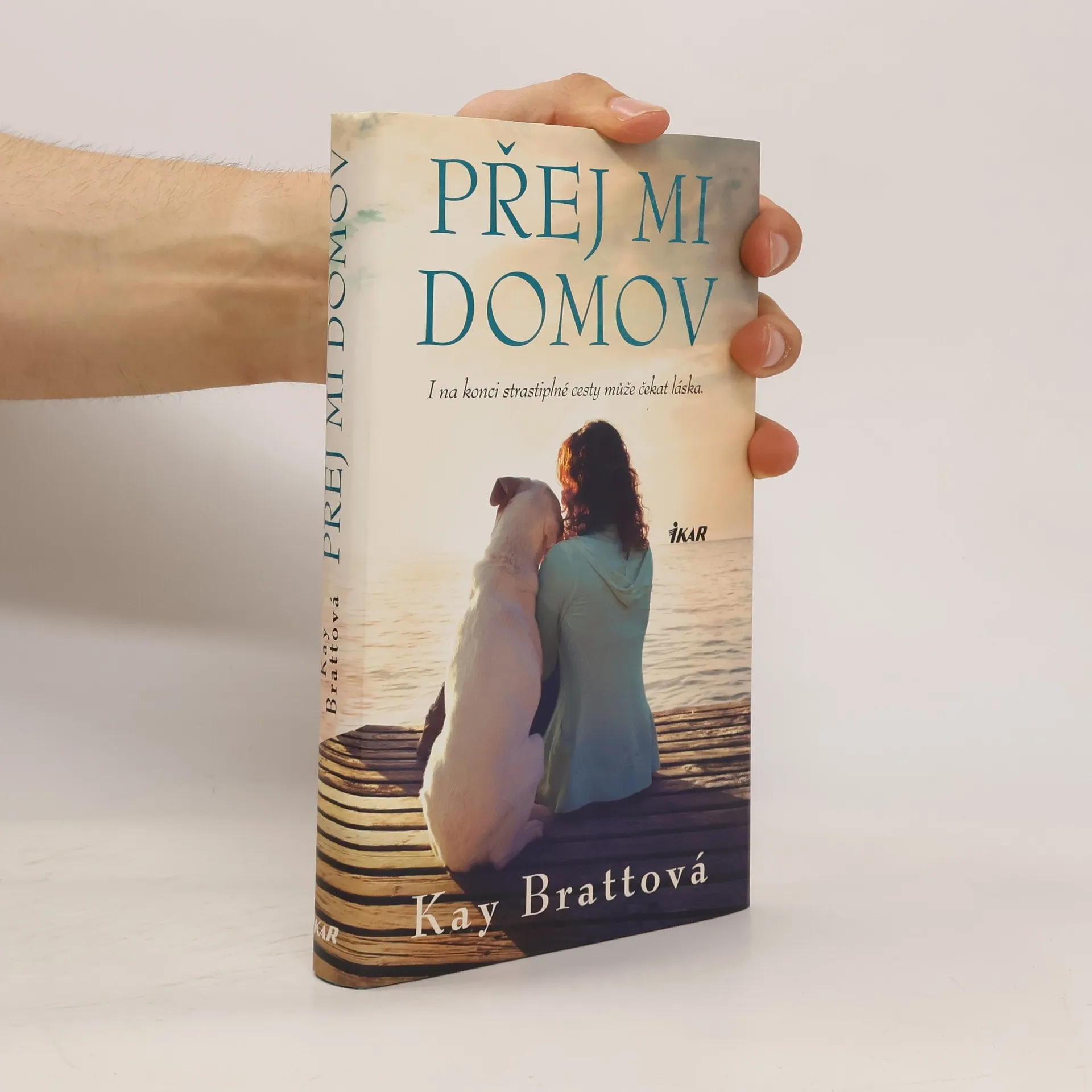 Přej mi domov | Kniha | pevná | Kay Bratt | CS
