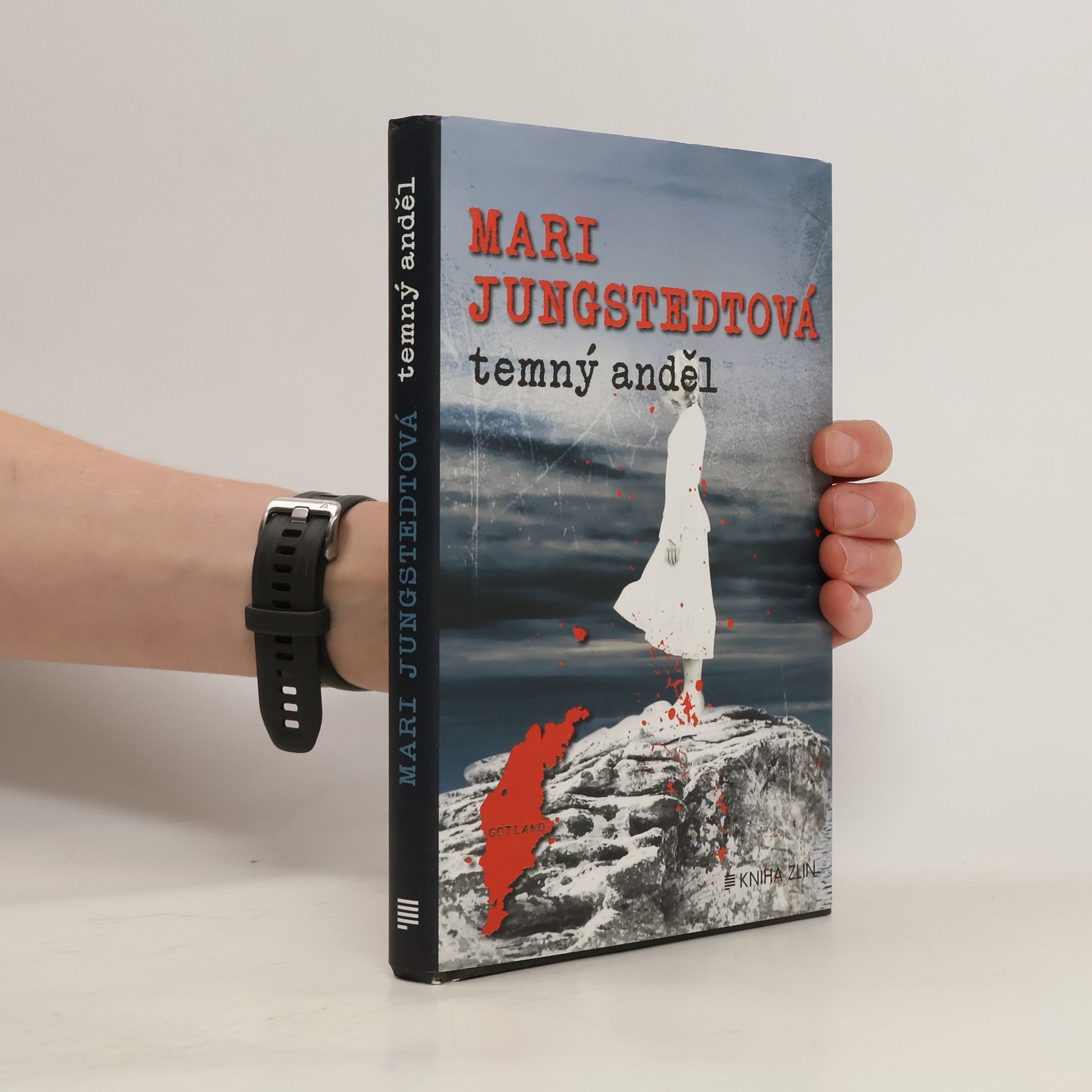 Mari Jungstedt Temný anděl