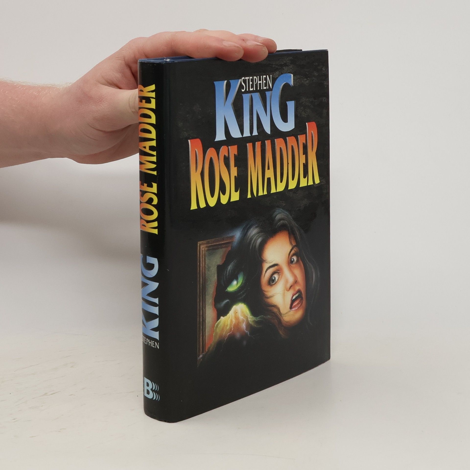 Stephen King Rose Madder
