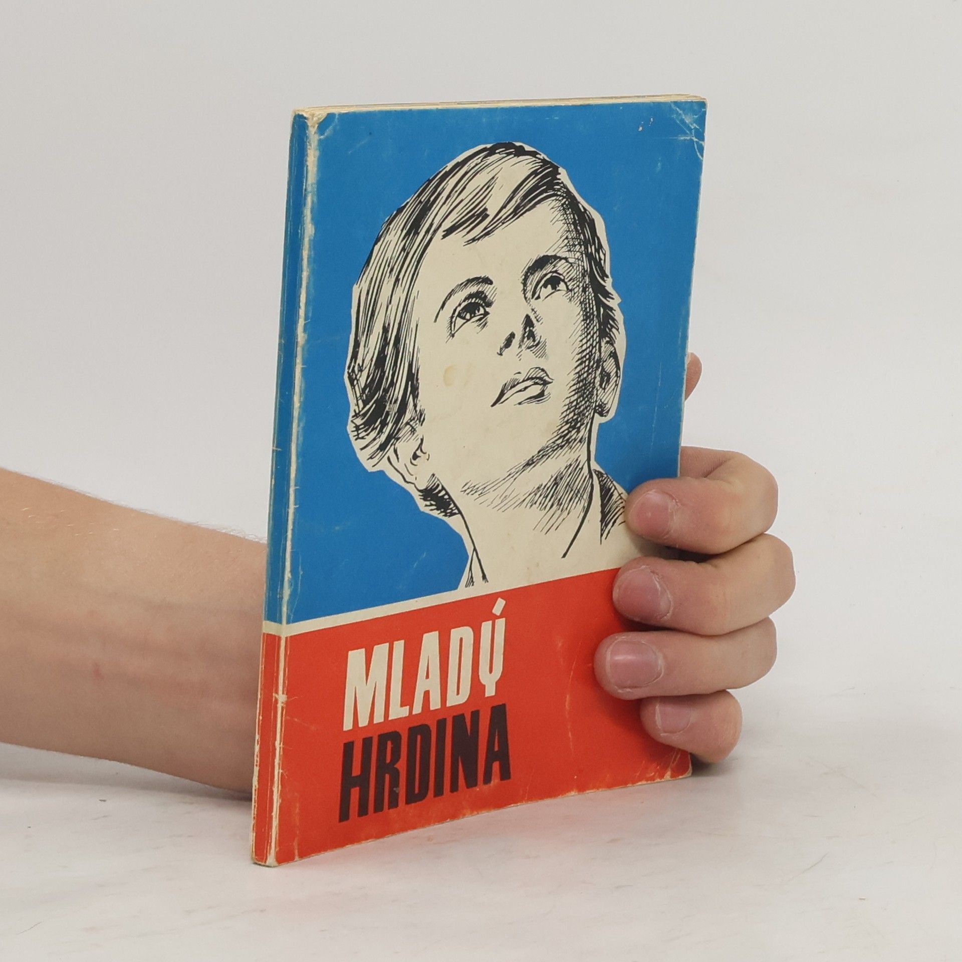 Bohuslav Mladý hrdina : životopis sv. Dominika Sávia