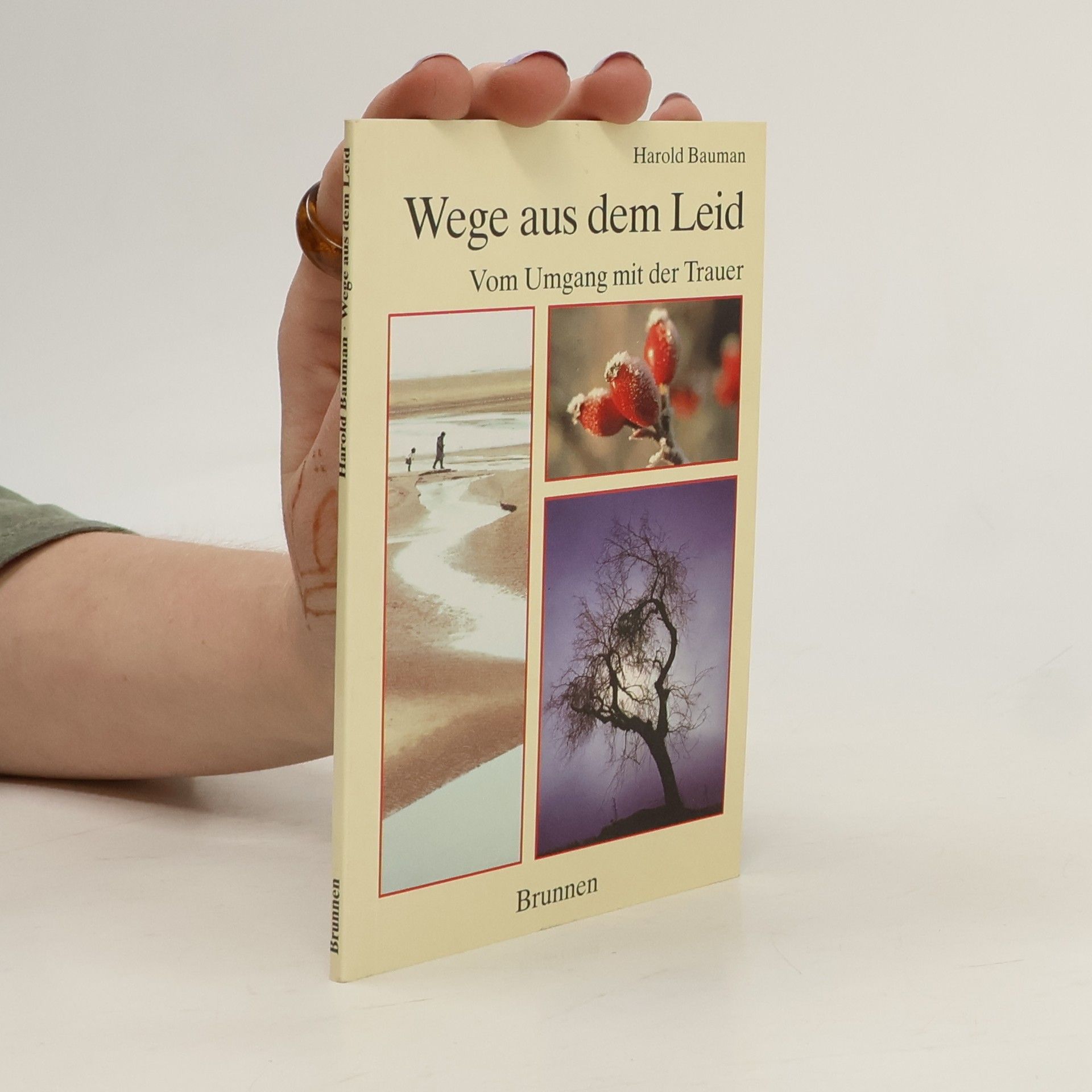 Harold Baumann Wege aus dem Leid