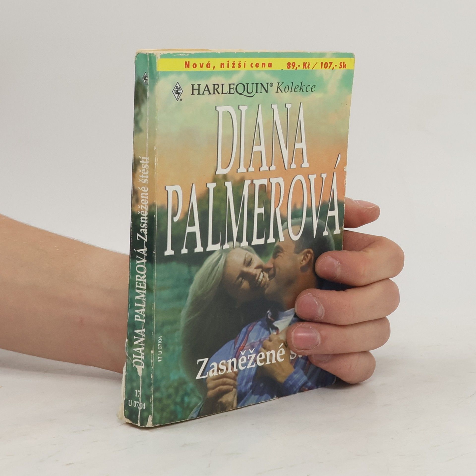 Diana Palmer Zasněžené štěstí