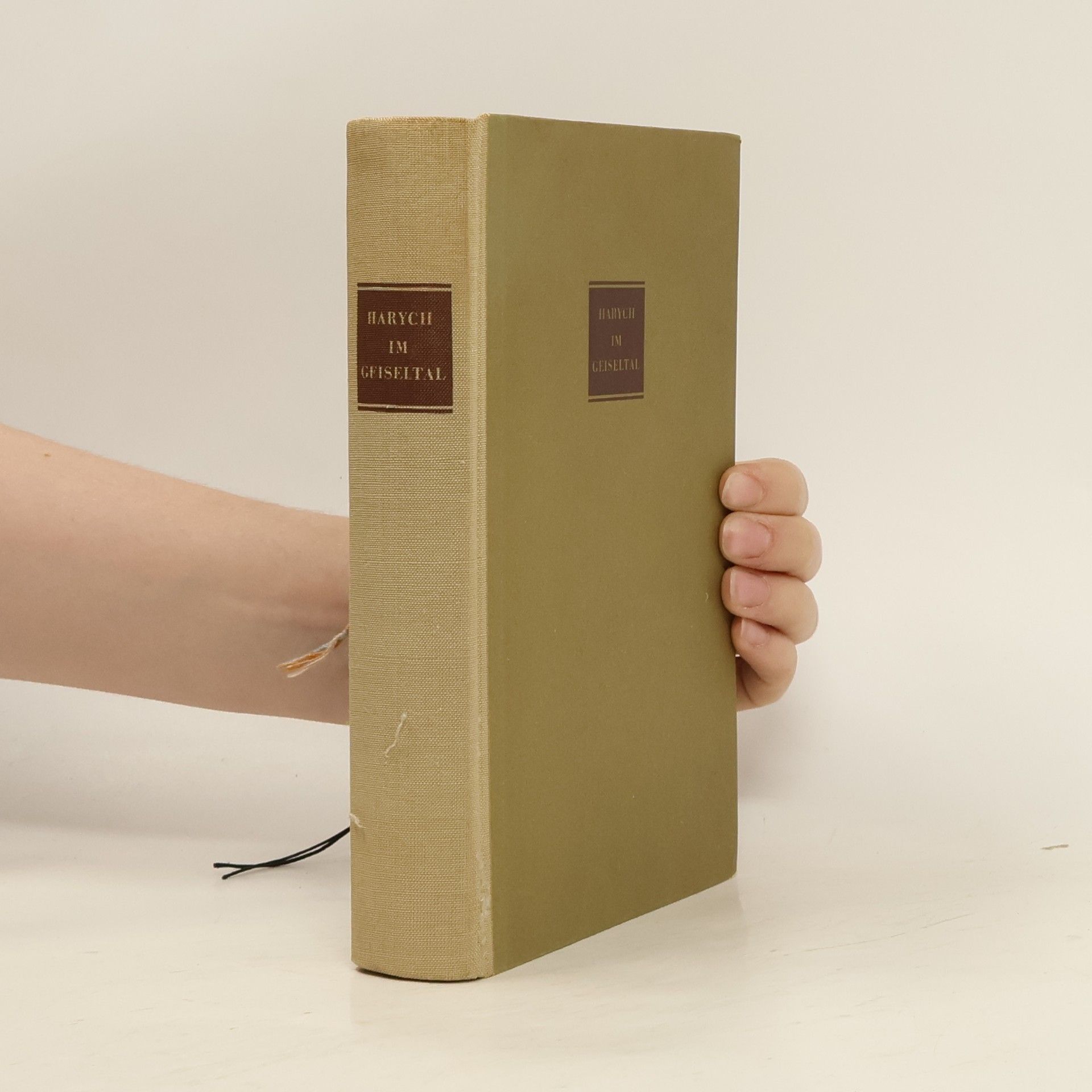 Kolektiv autorů Harych Im Geiseltat