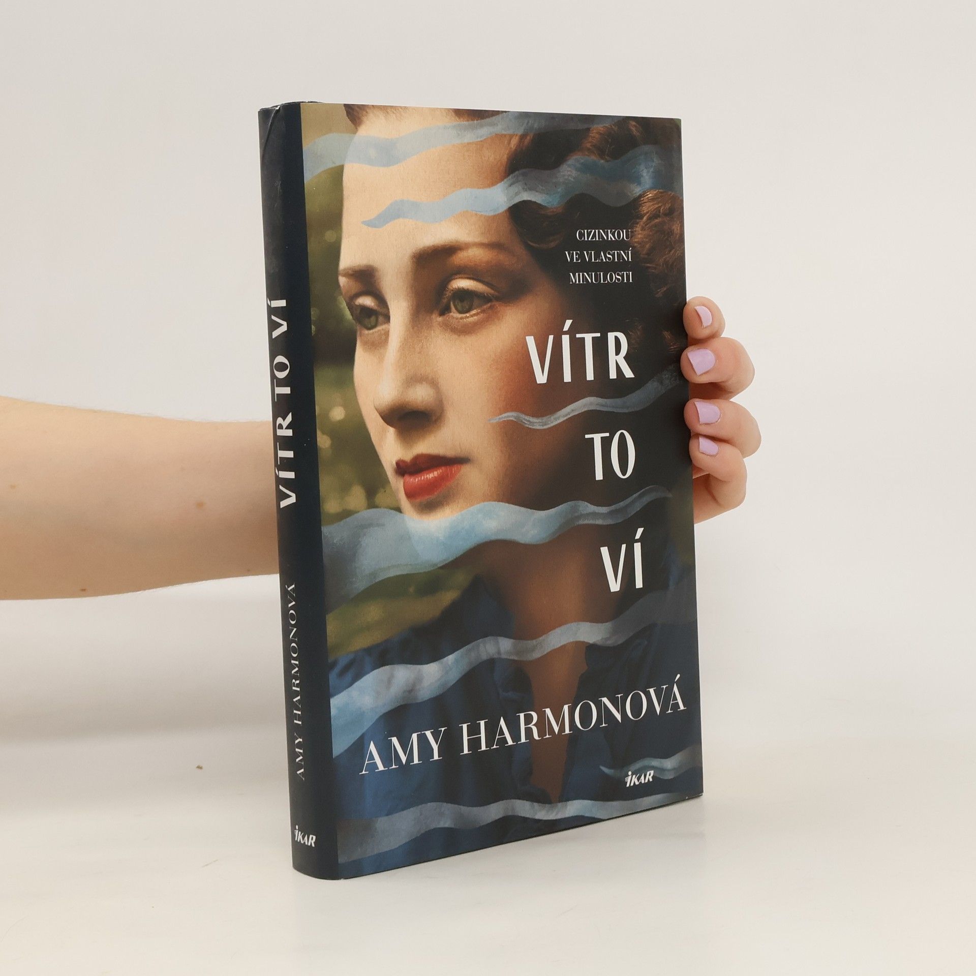 Amy Harmon Vítr to ví