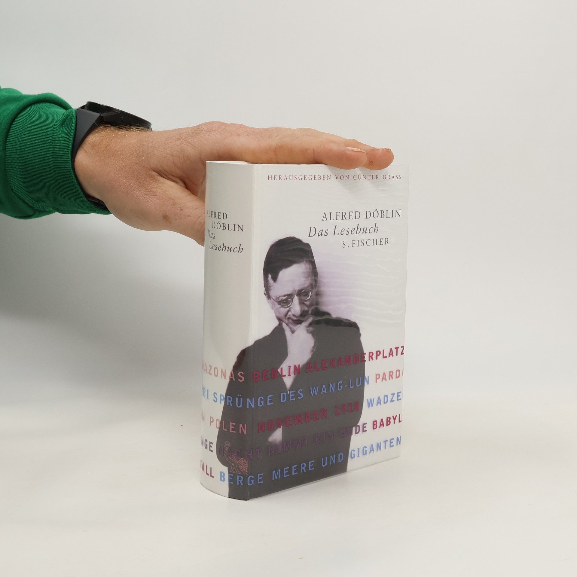 Alfred Döblin Das Lesebuch