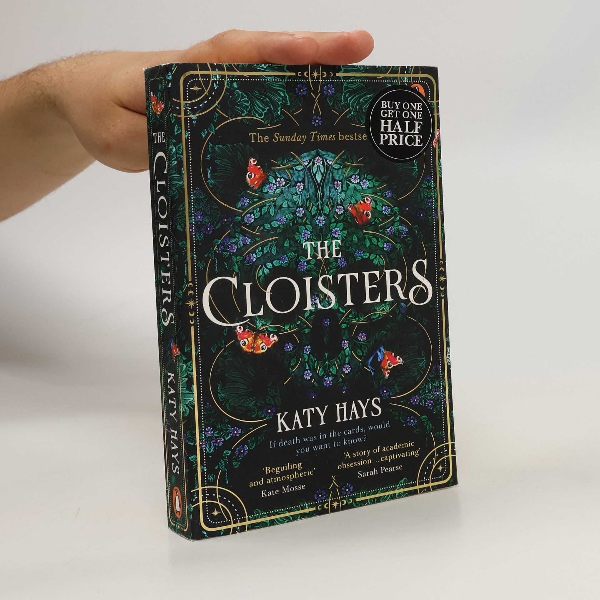 Katy Hays The Cloisters