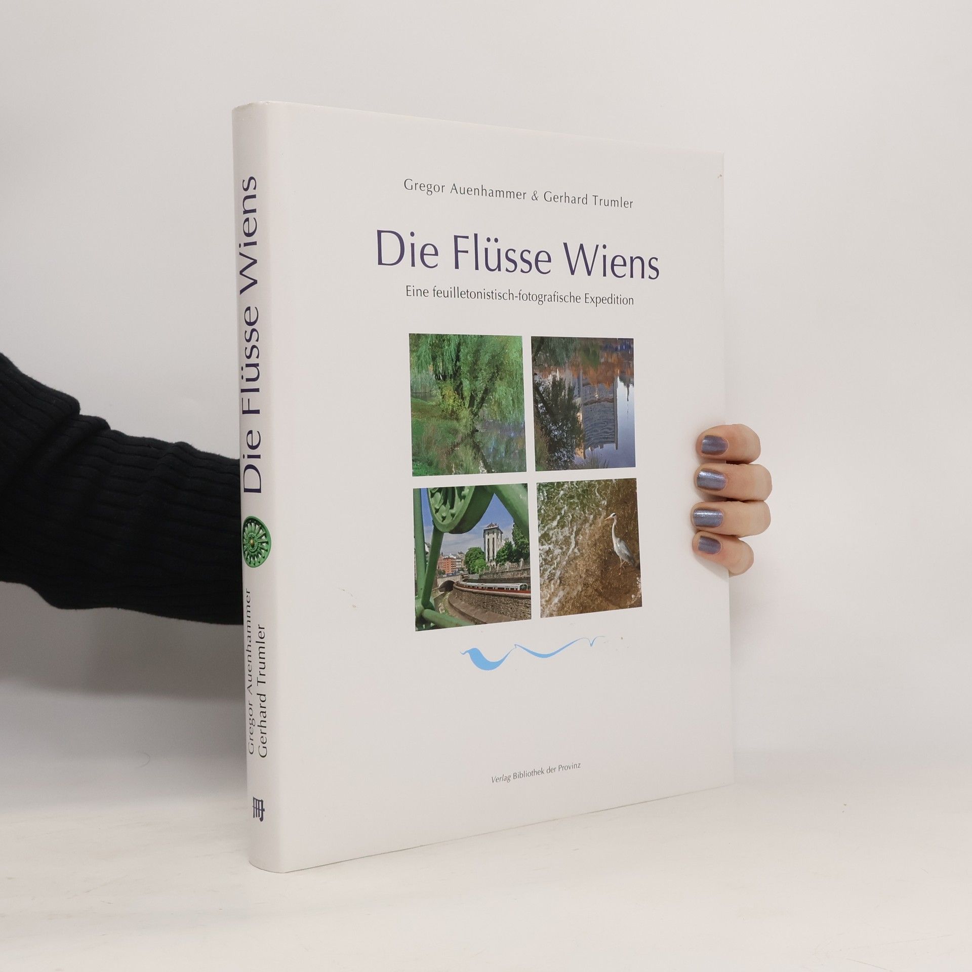 Gregor Auenhammer Die Flüsse Wiens
