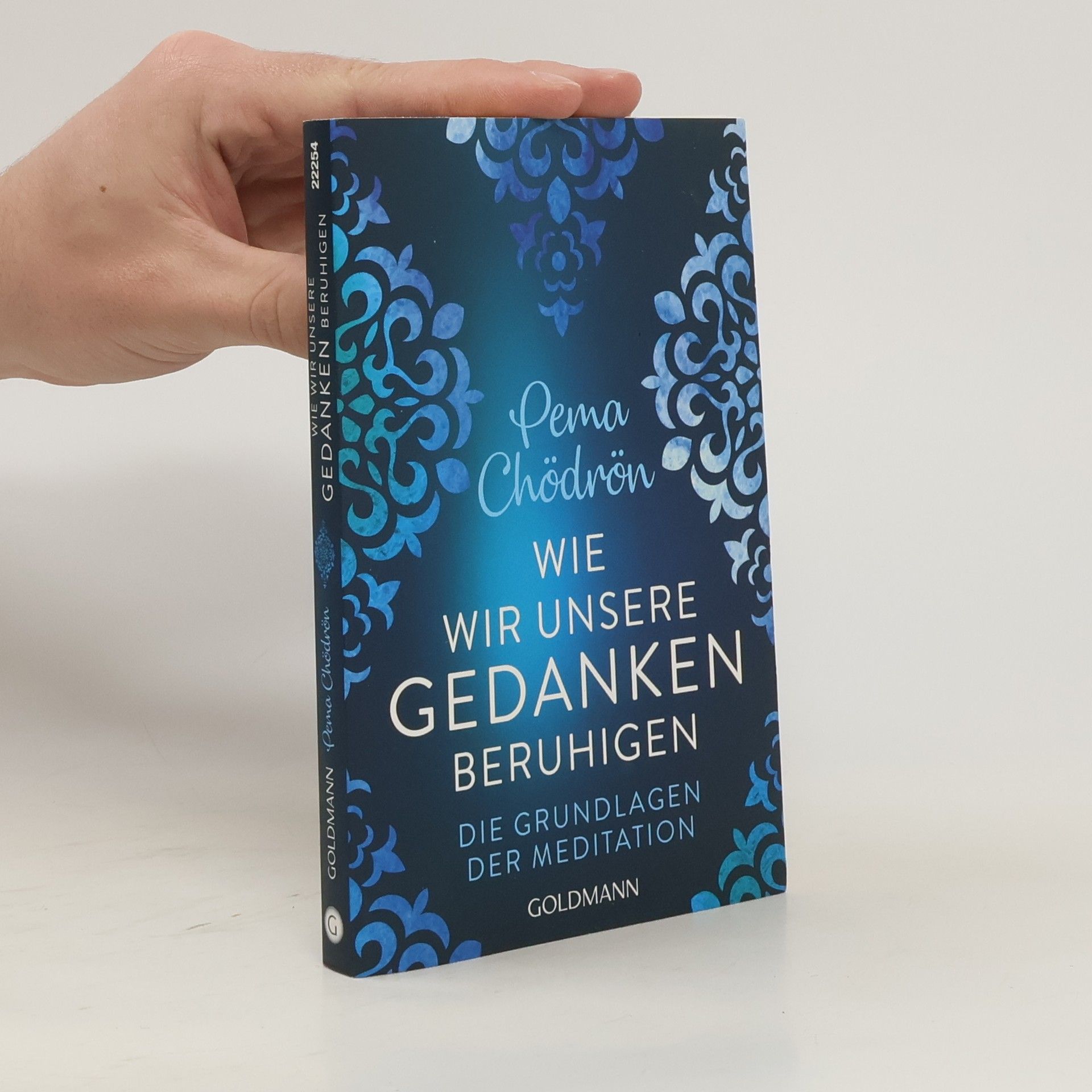 Pema Chödrön Wie wir unsere Gedanken beruhigen