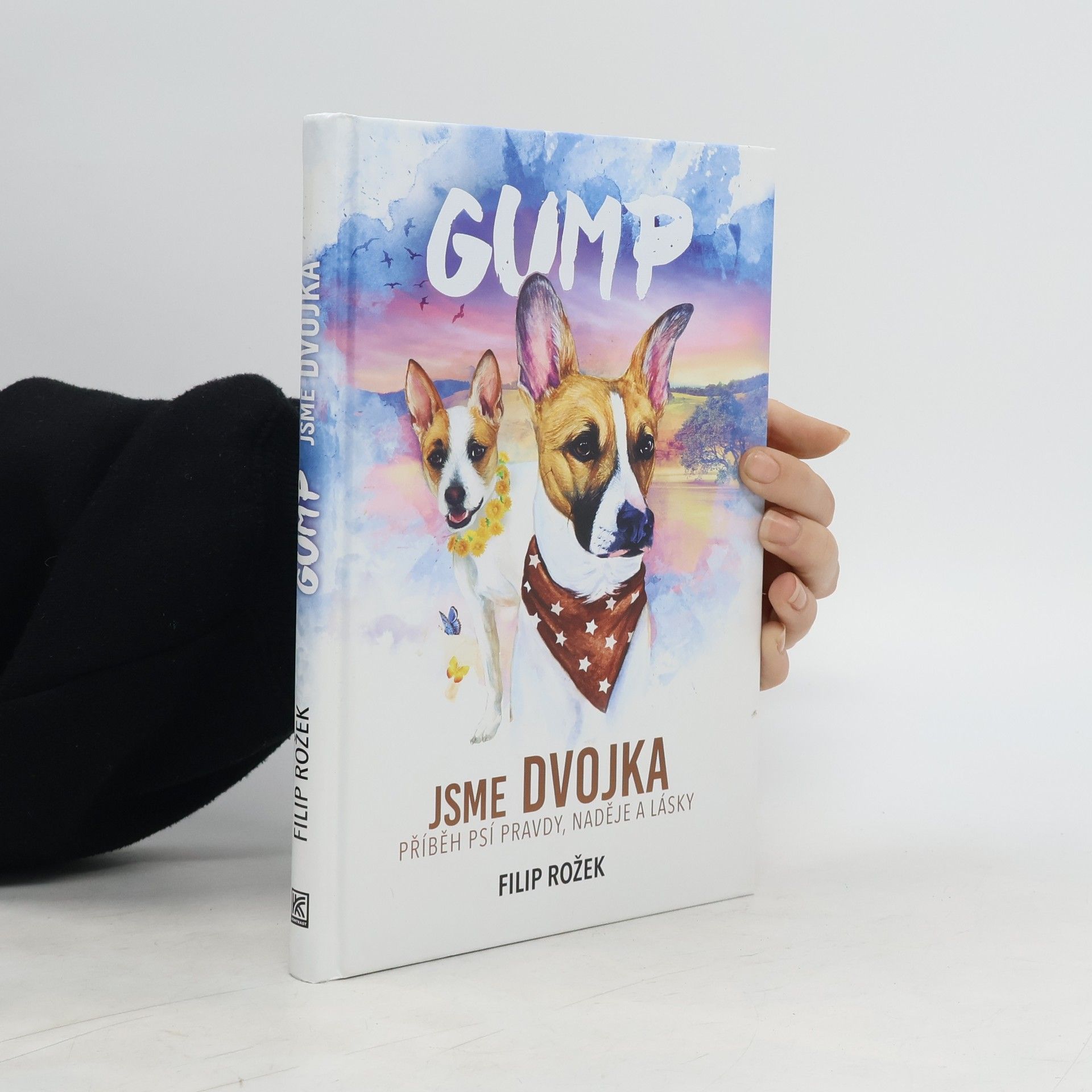 Filip Rožek Gump jsme dvojka: Příběh psí pravdy, naděje a lásky
