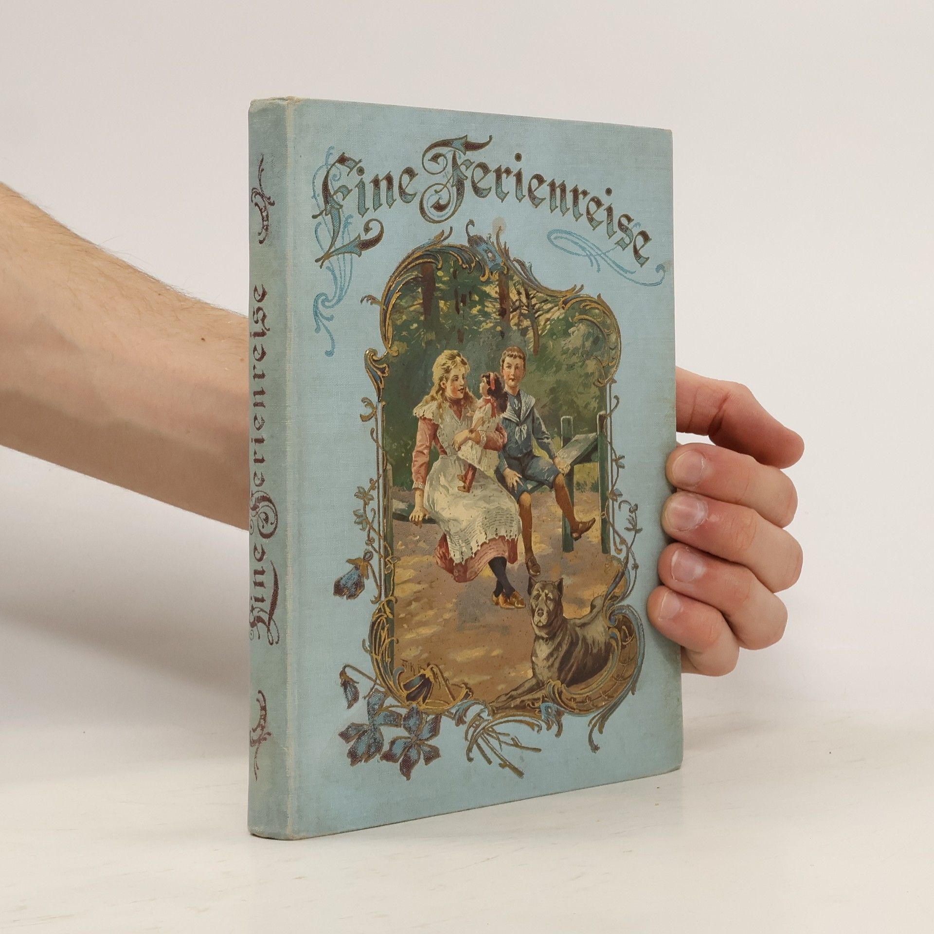 Mathilde Baehr Eine Ferienreise