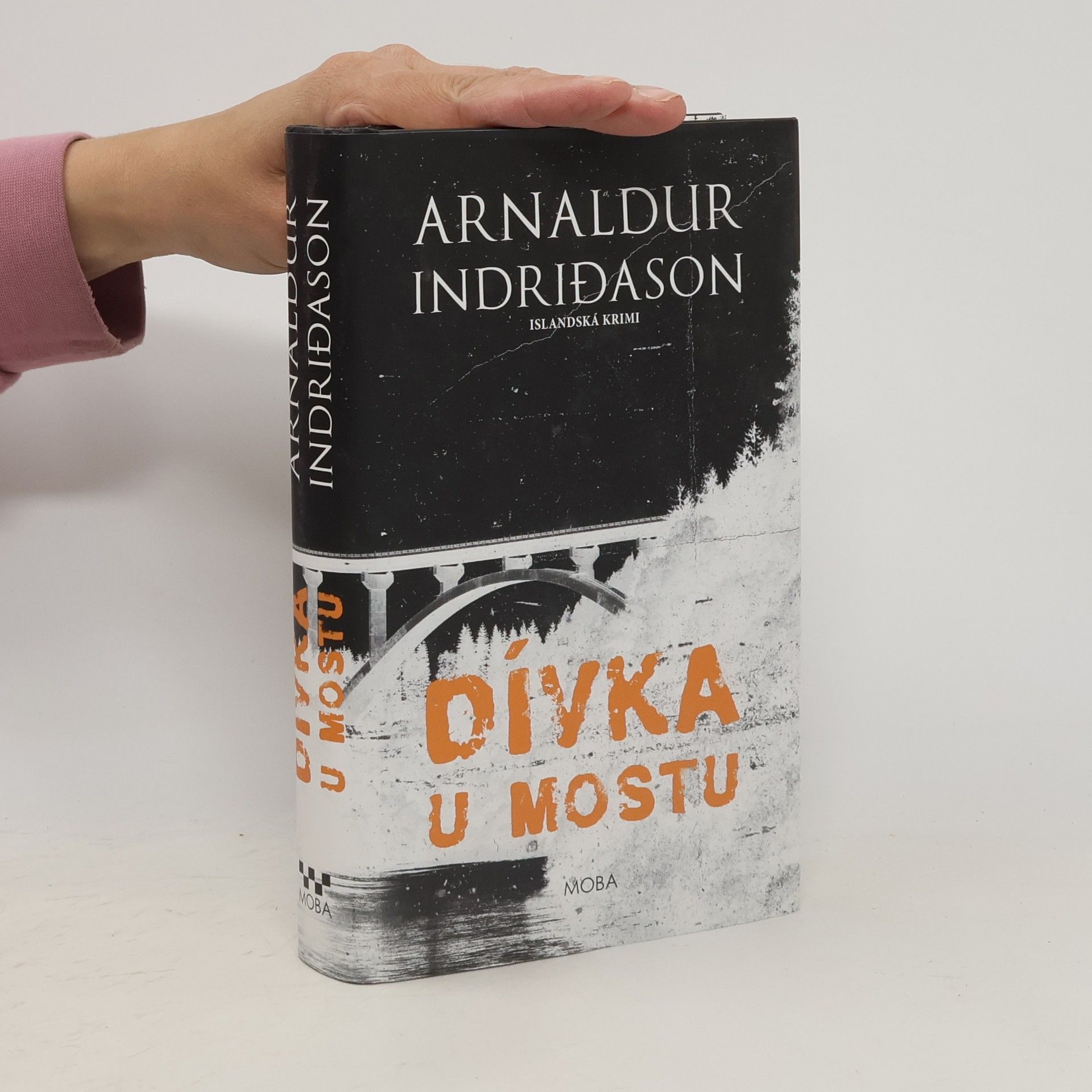 Arnaldur Indridason Dívka u mostu
