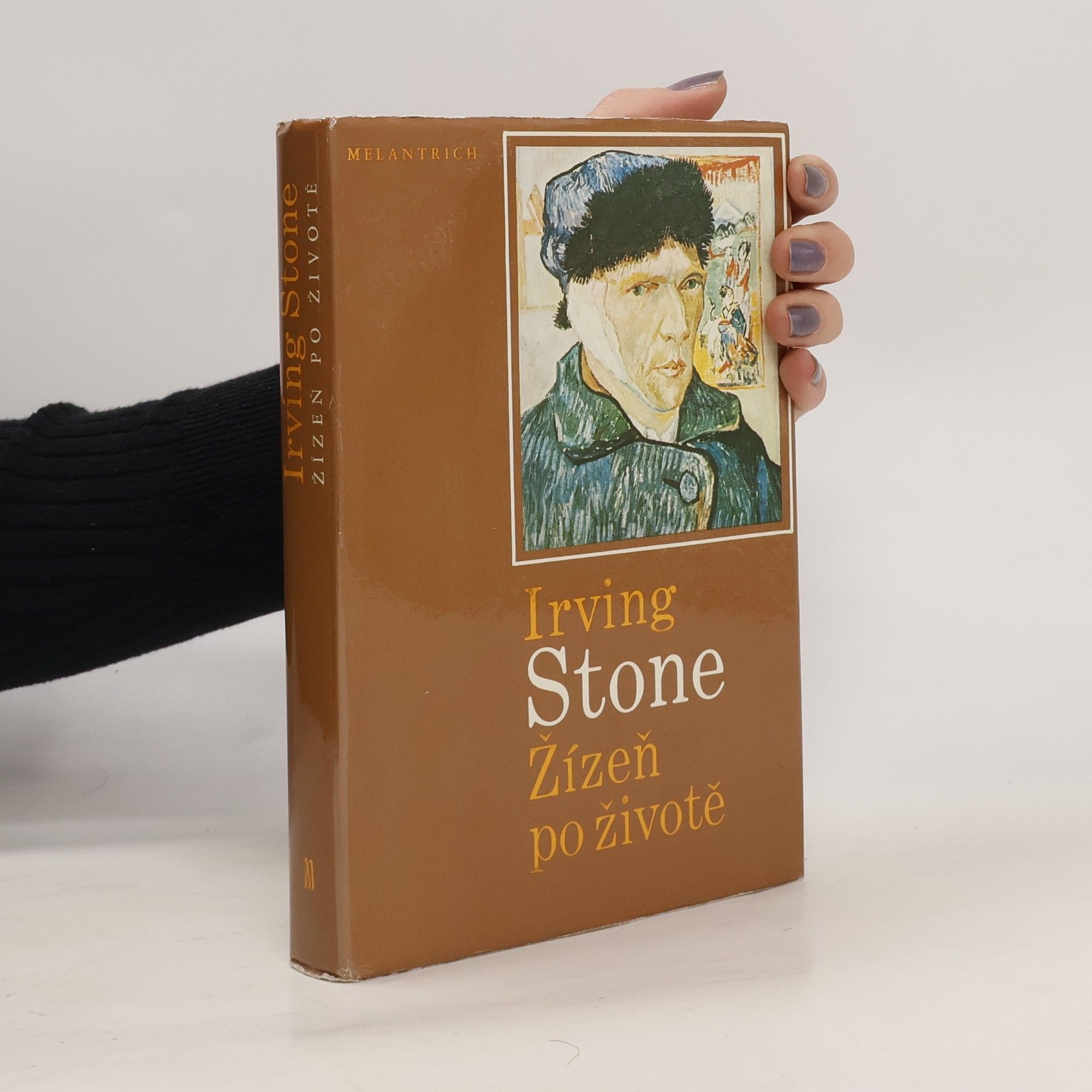 Irving Stone Žízeň po životě