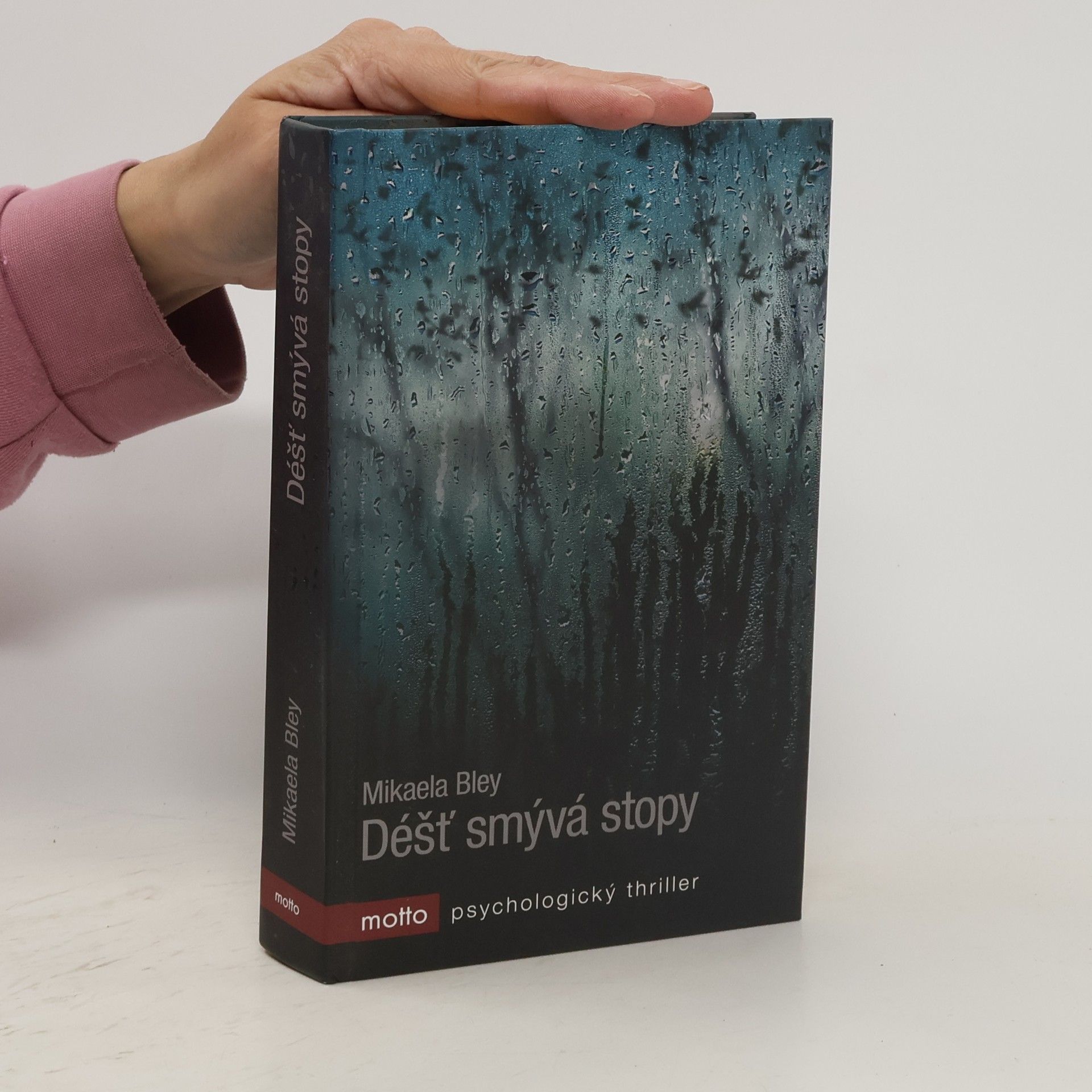 Mikaela Bley Déšť smývá stopy