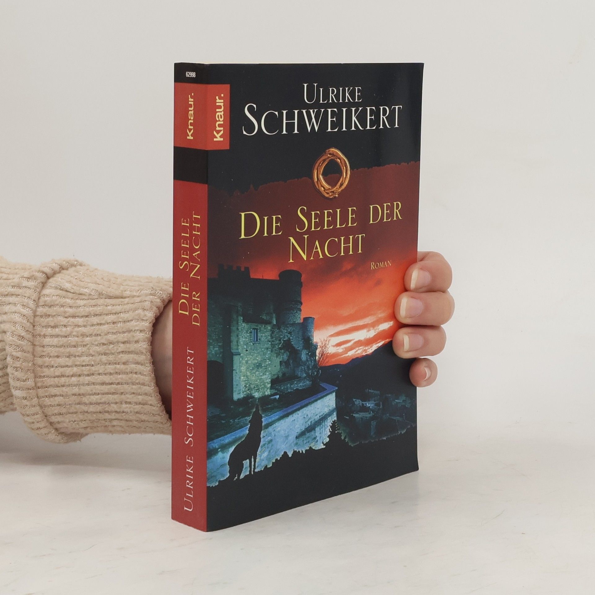 Ulrike Schweikert Die Seele der Nacht
