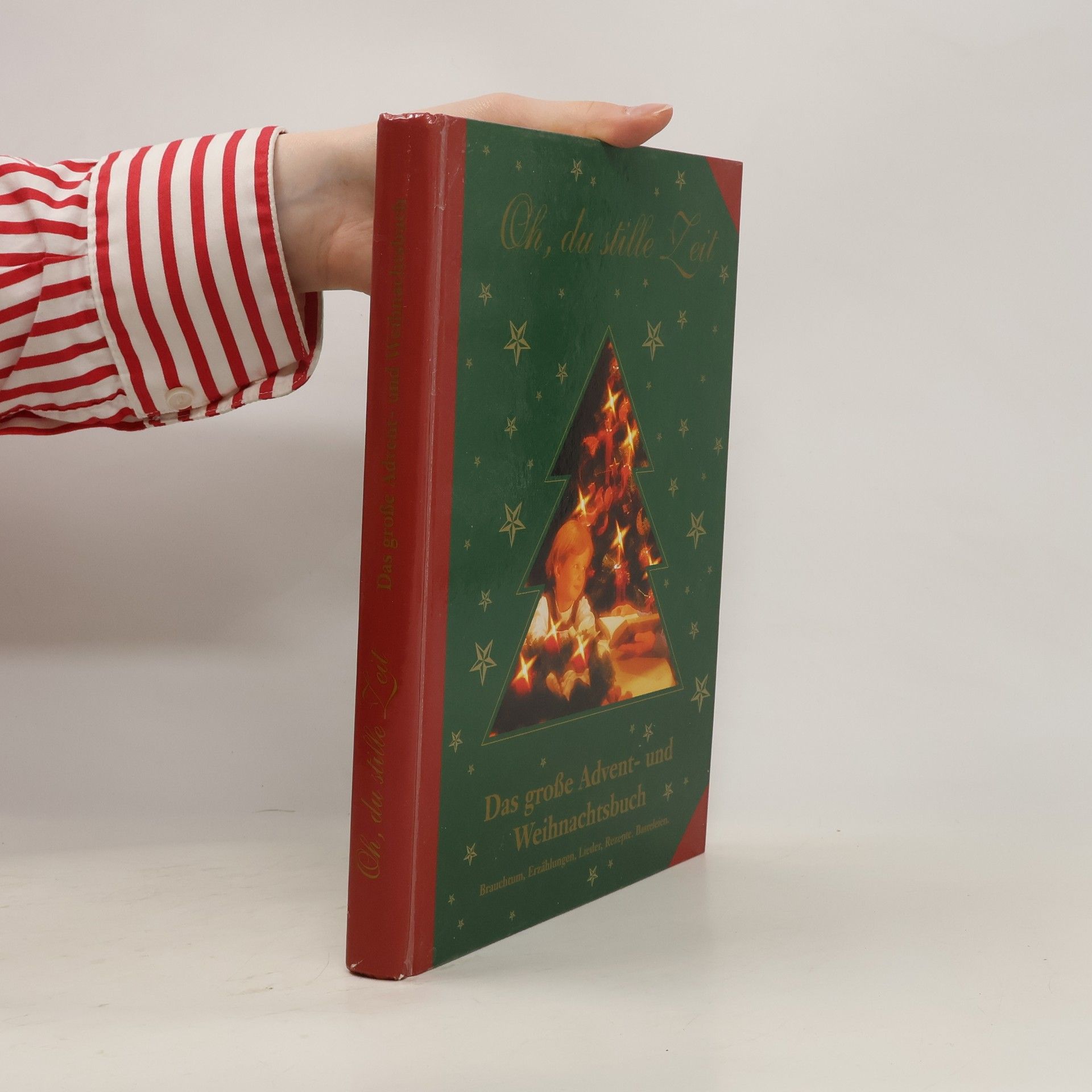 Collectif d'auteurs Das große Advent- und Weihnachtsbuch