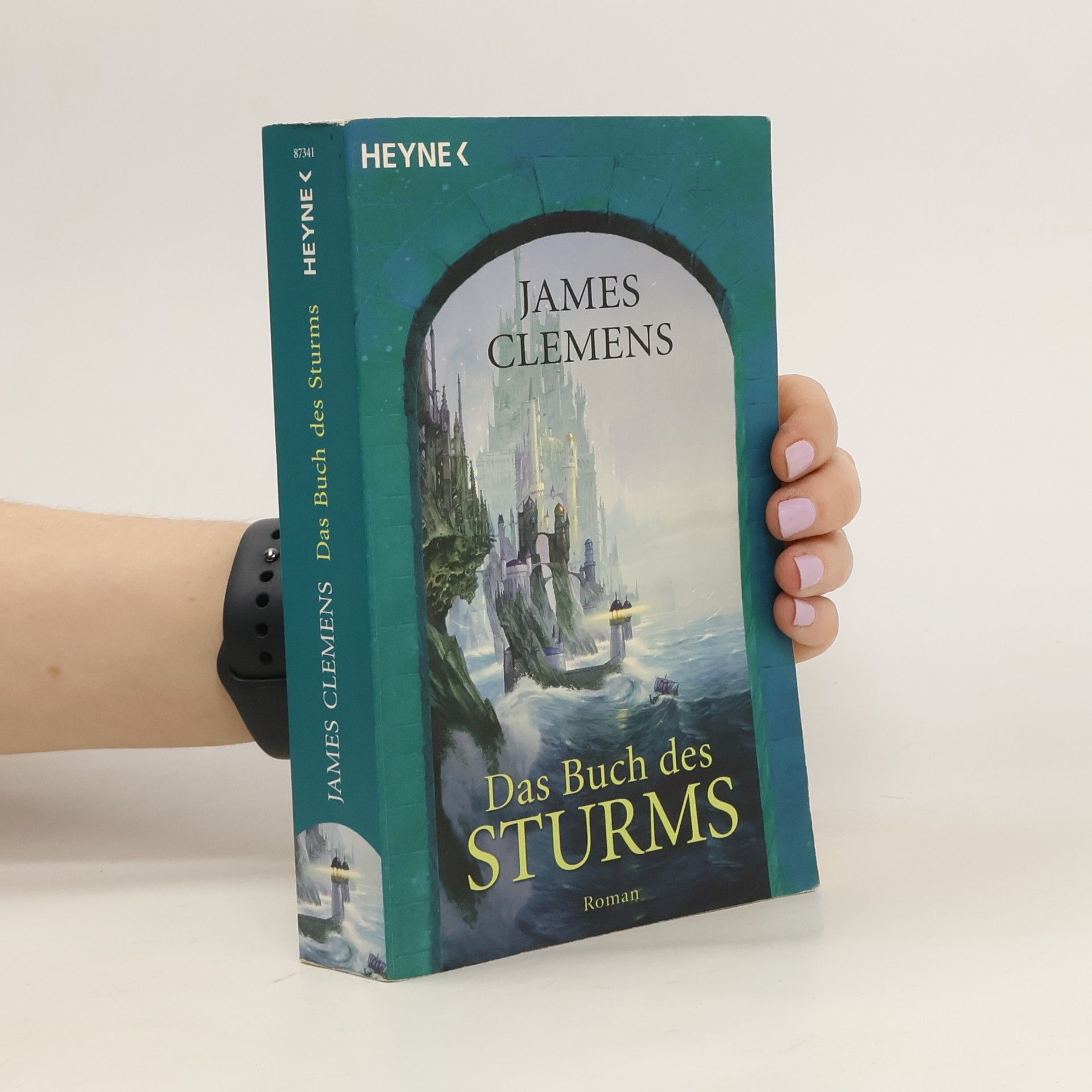 James Clemens Das Buch des Sturms