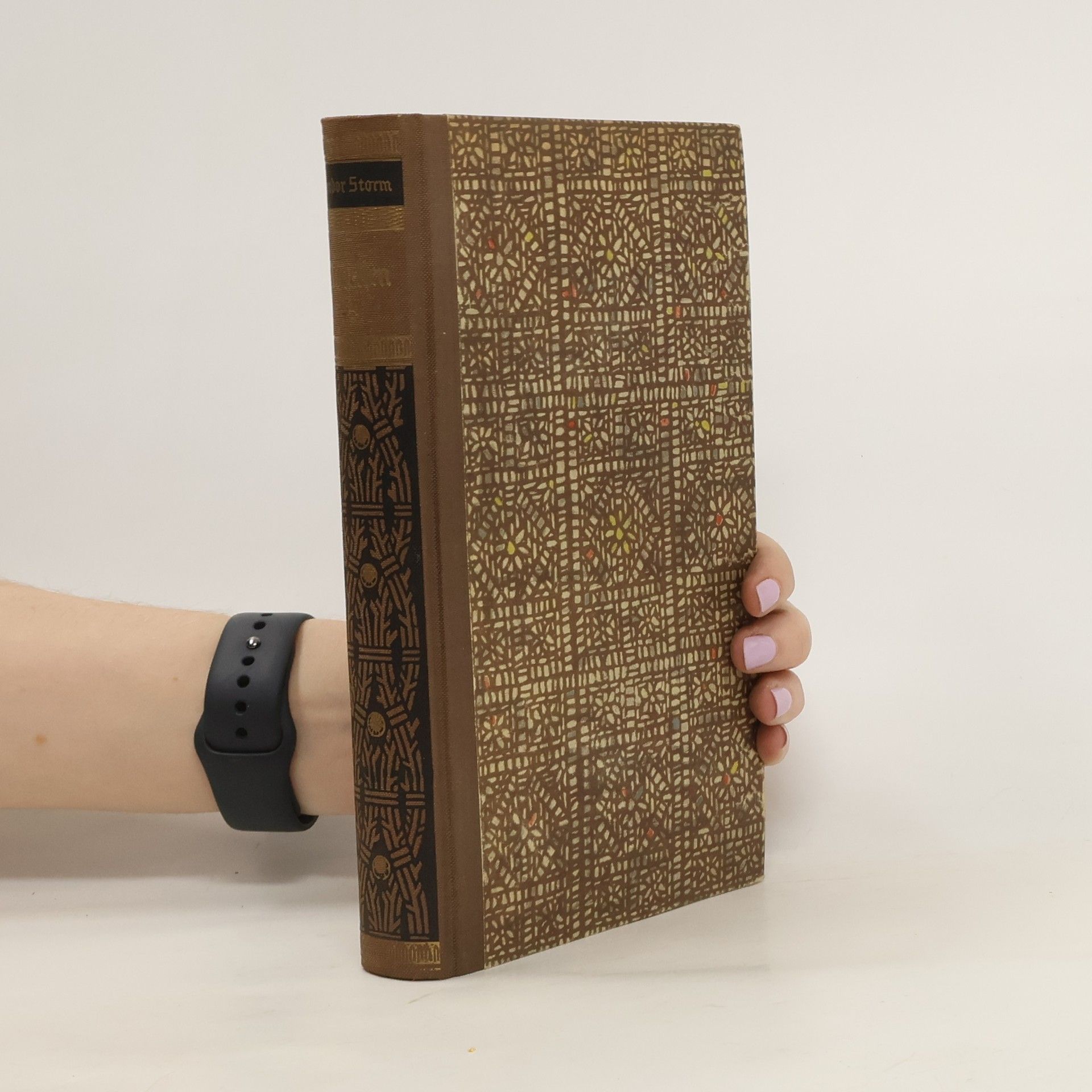 Theodor Storm Die schönsten Novellen 2