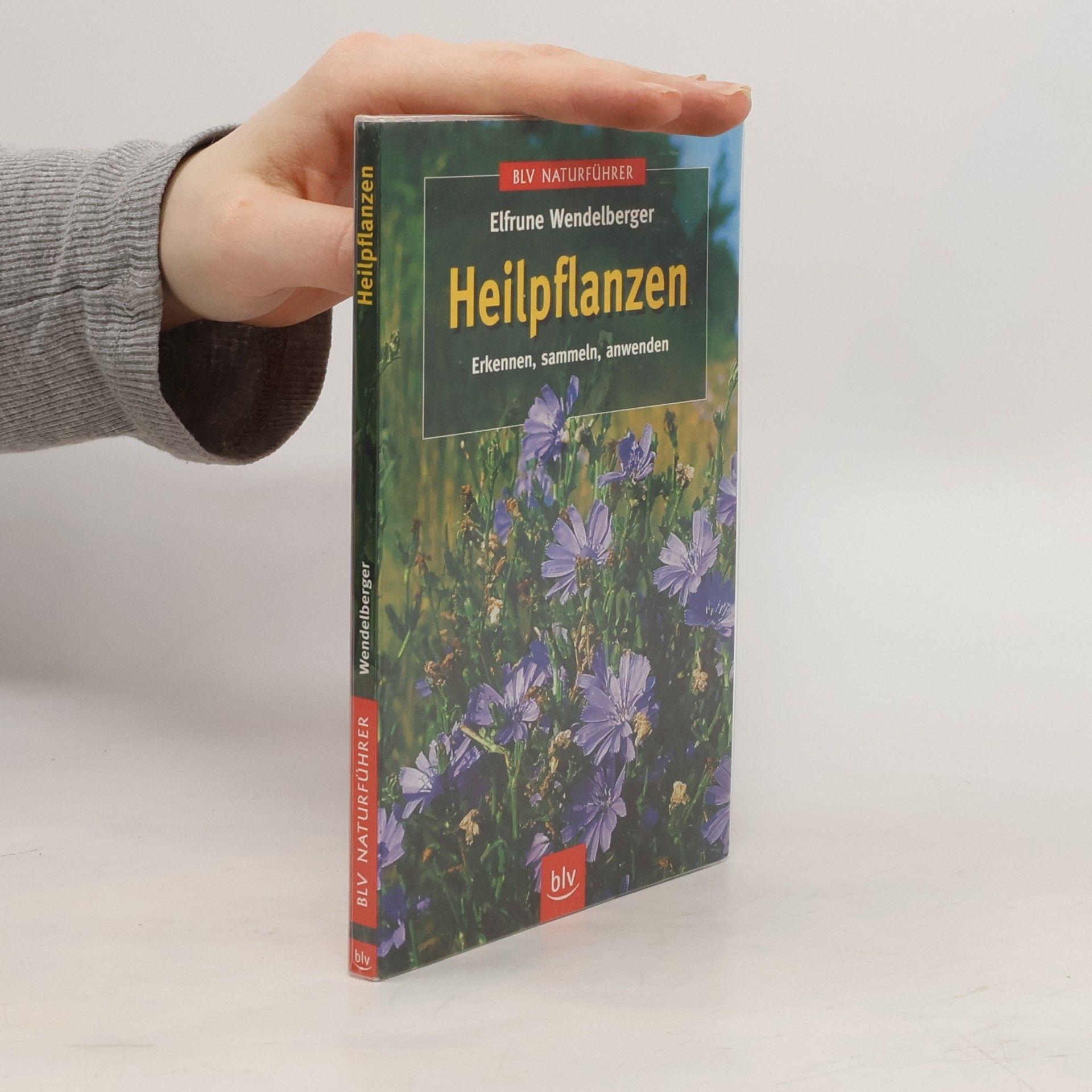 Elfrune Wendelberger Heilpflanzen