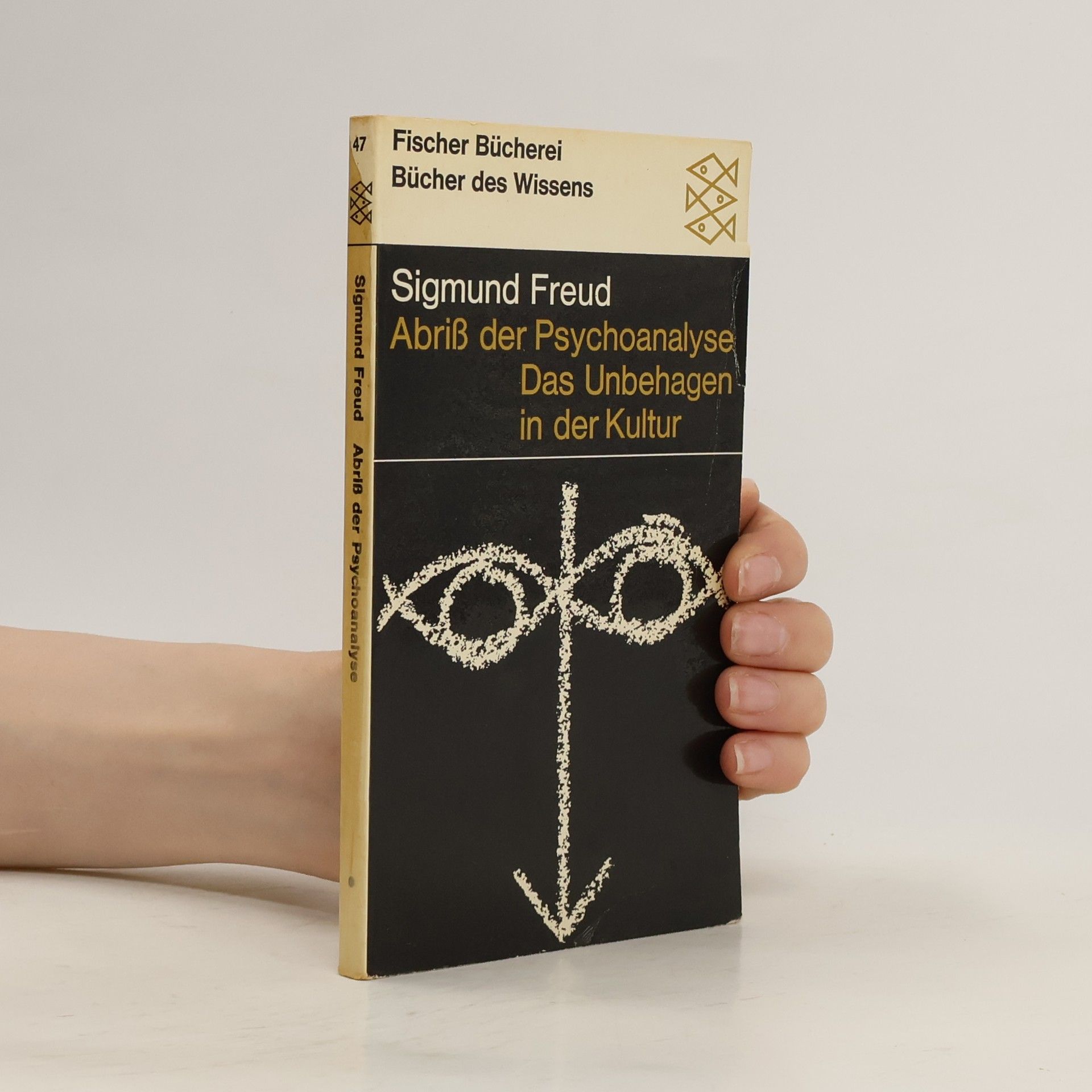 Sigmund Freud Abriss der Psychoanalyse. Das Unbehagen in der Kultur