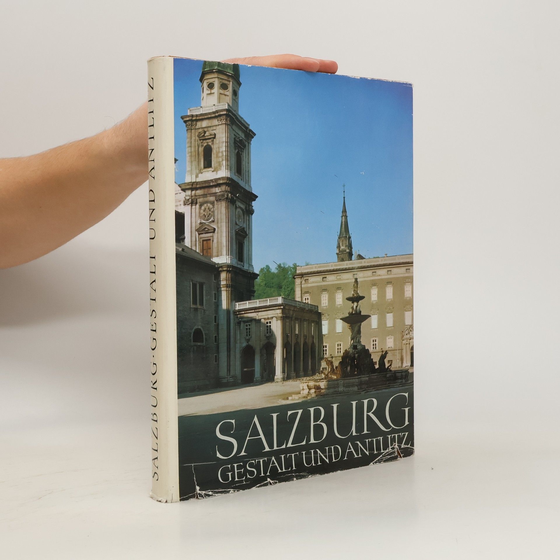 Alois Schmiedbauer Salzburg : Gestalt und Antlitz