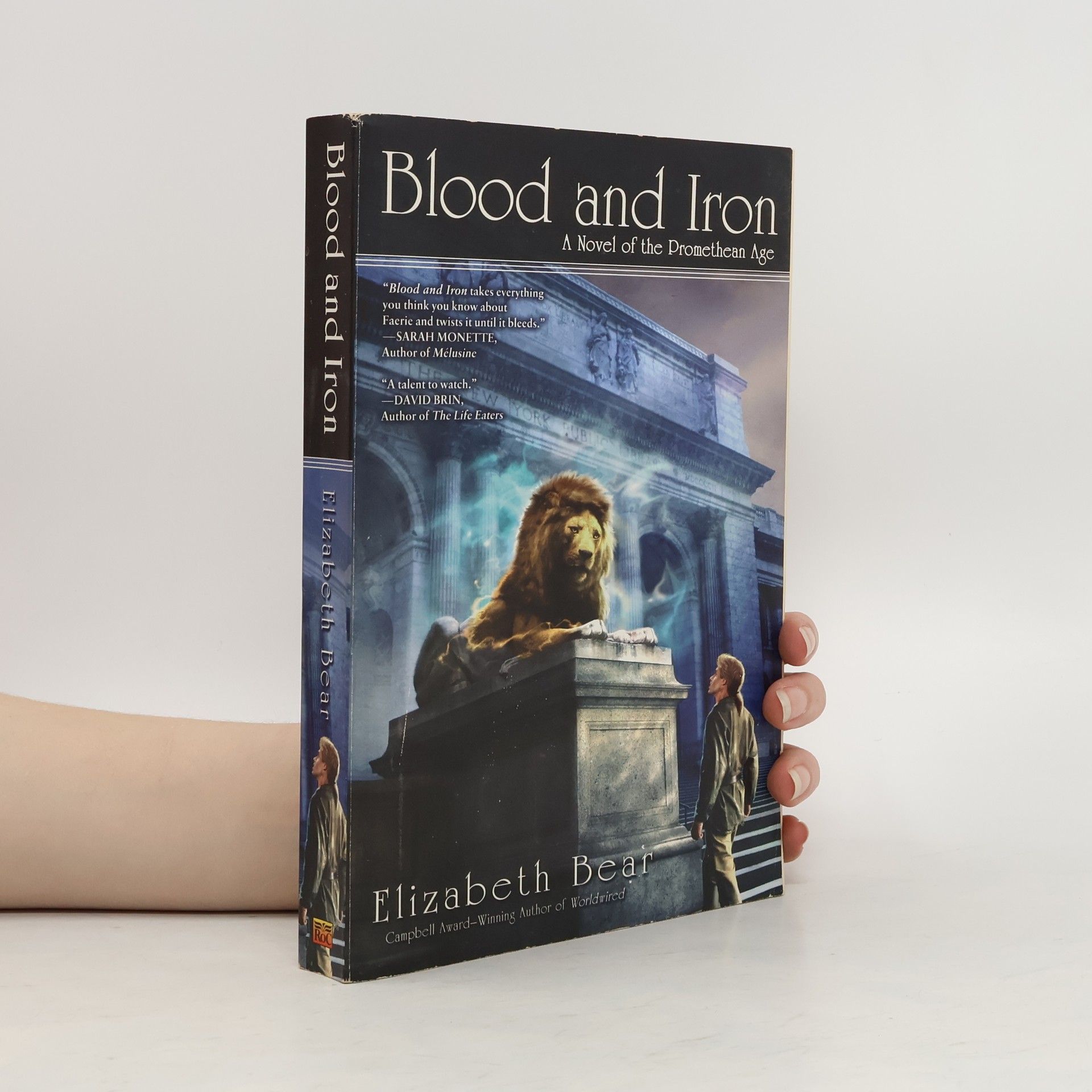 Elizabeth Bear Blood and Iron