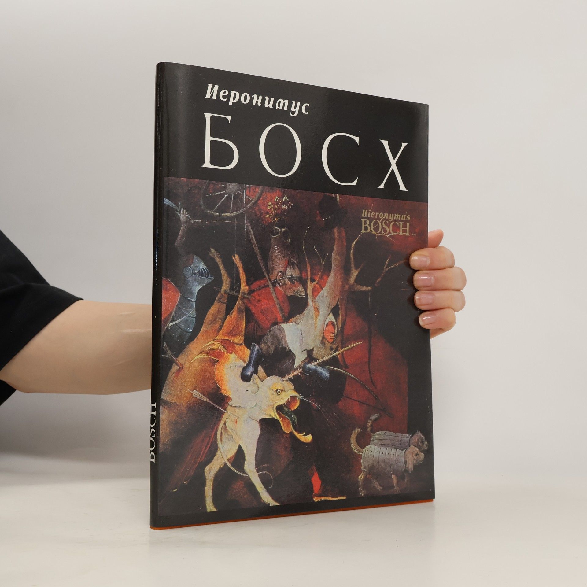 Autorenkollektiv Hieronymus Bosch. Иероним Босх