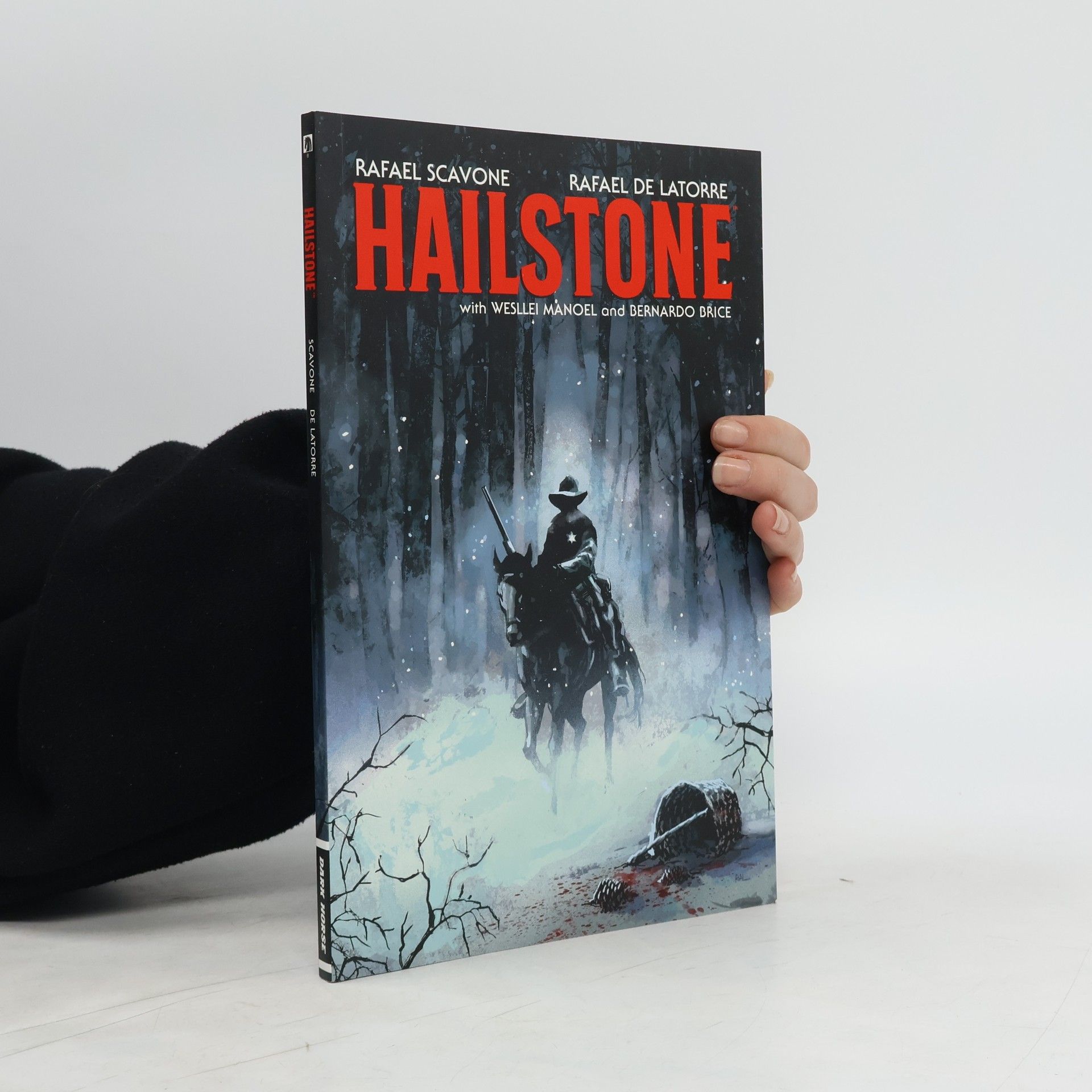Rafael Scavone Hailstone
