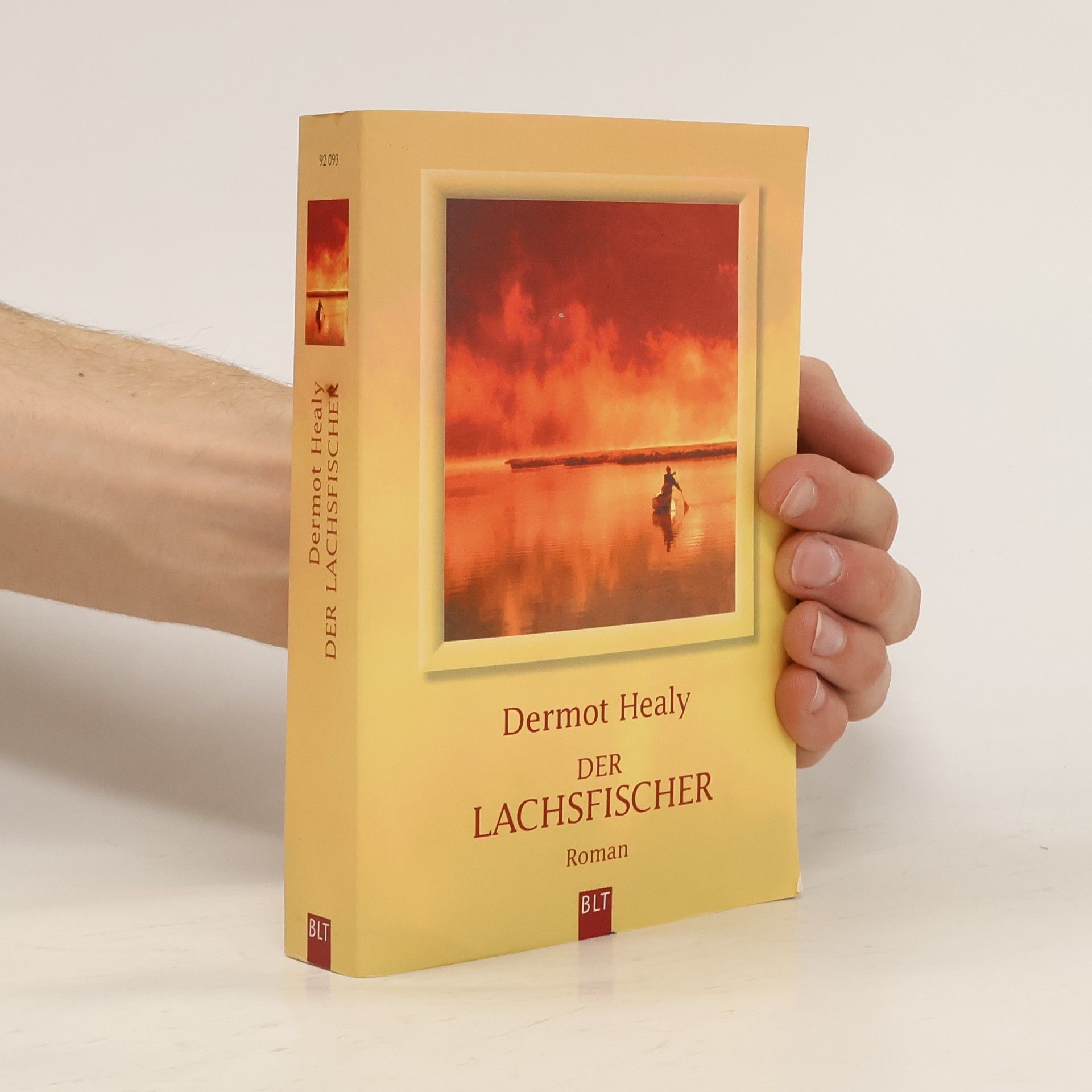 Dermot Healy Der Lachsfischer