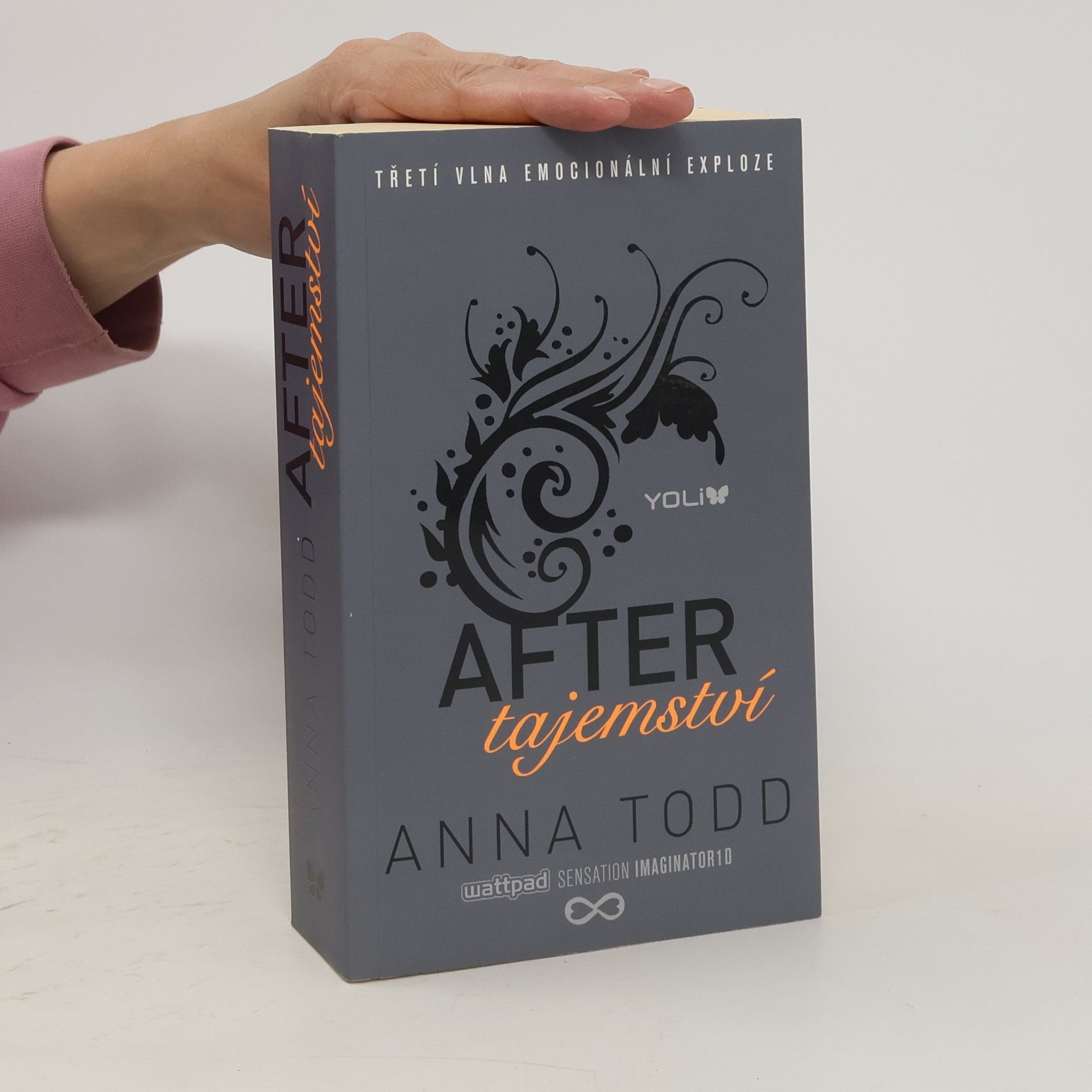 Anna Todd After. Tajemství