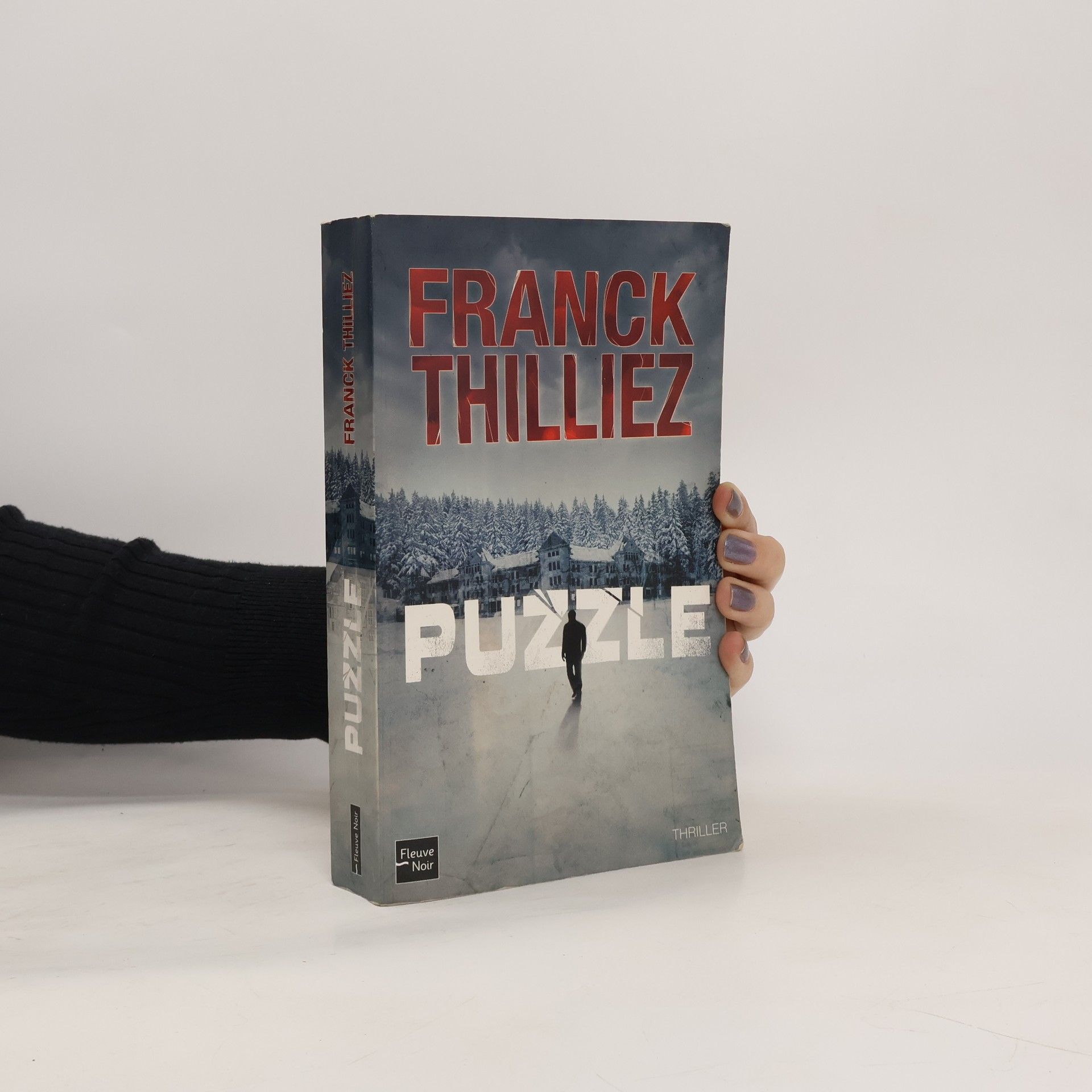 Franck Thilliez Puzzle