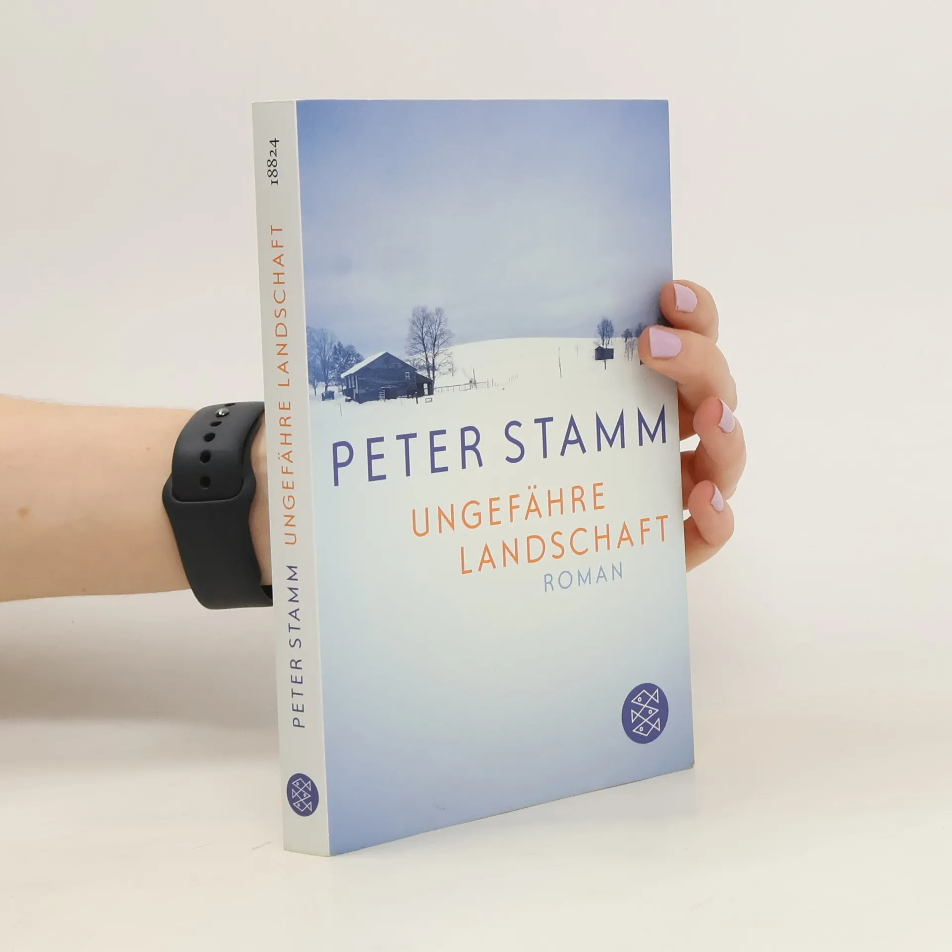 Ungefähre Landschaft | Buch | Peter Stamm