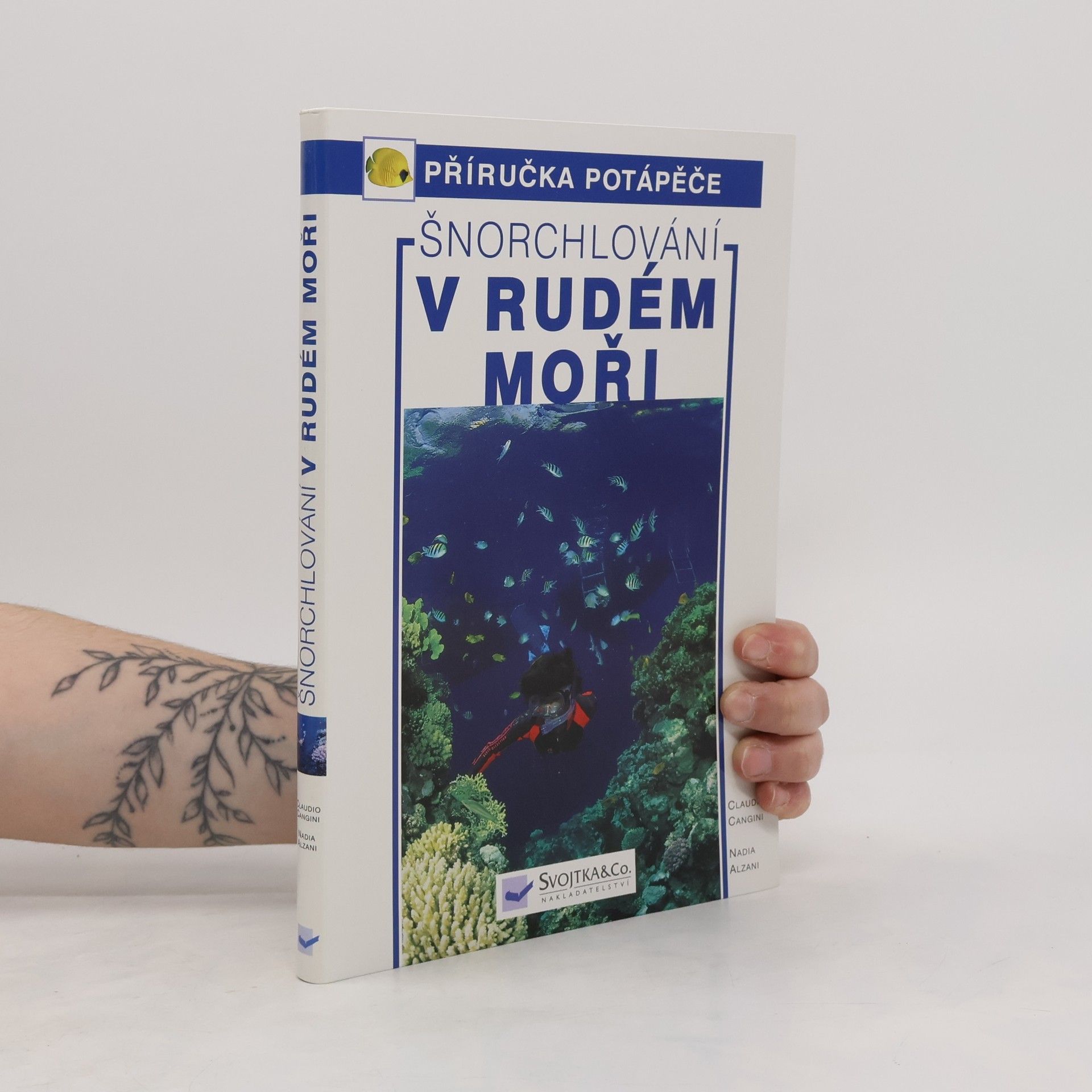Claudio Cangini Šnorchlování v Rudém moři