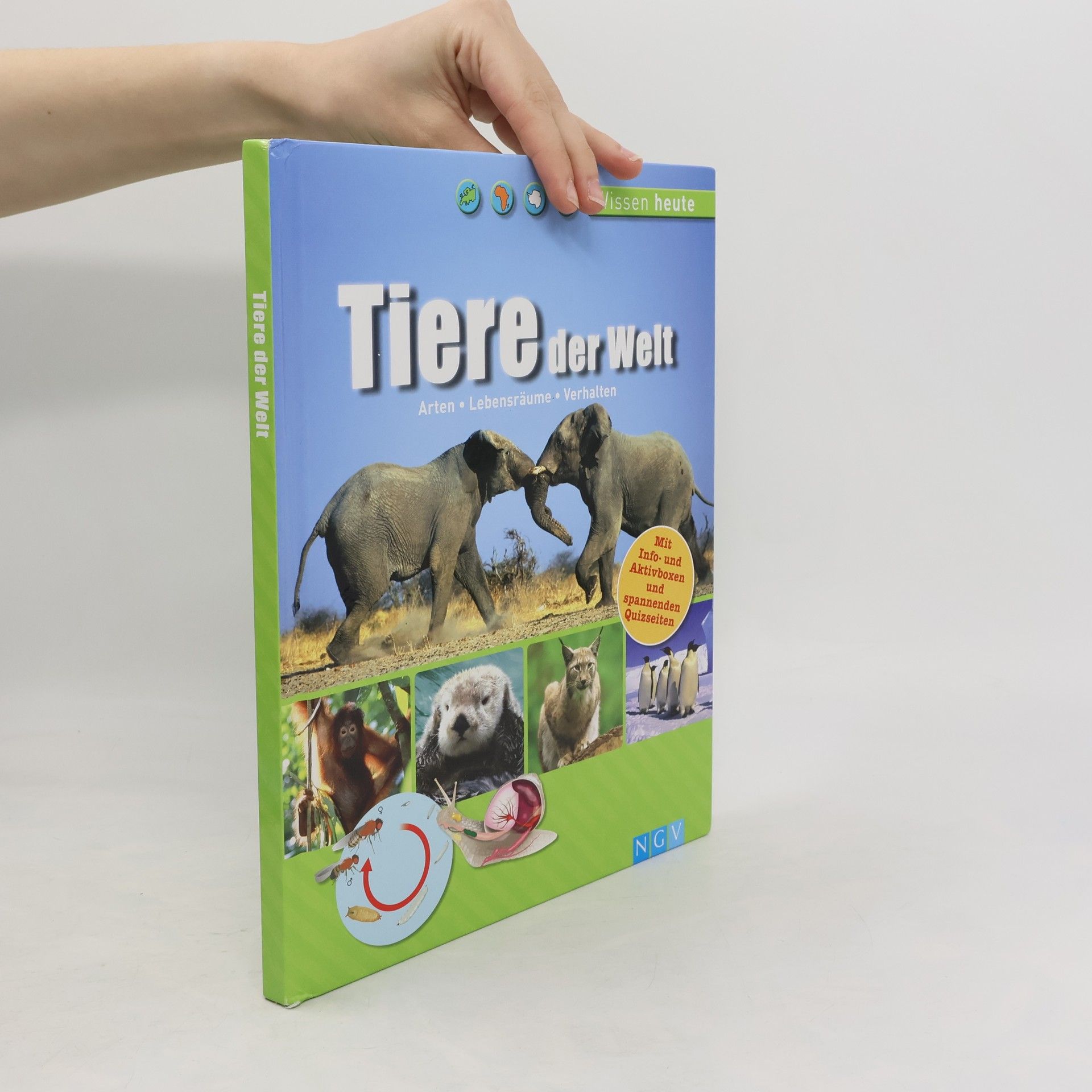 kolektiv Tiere der Welt